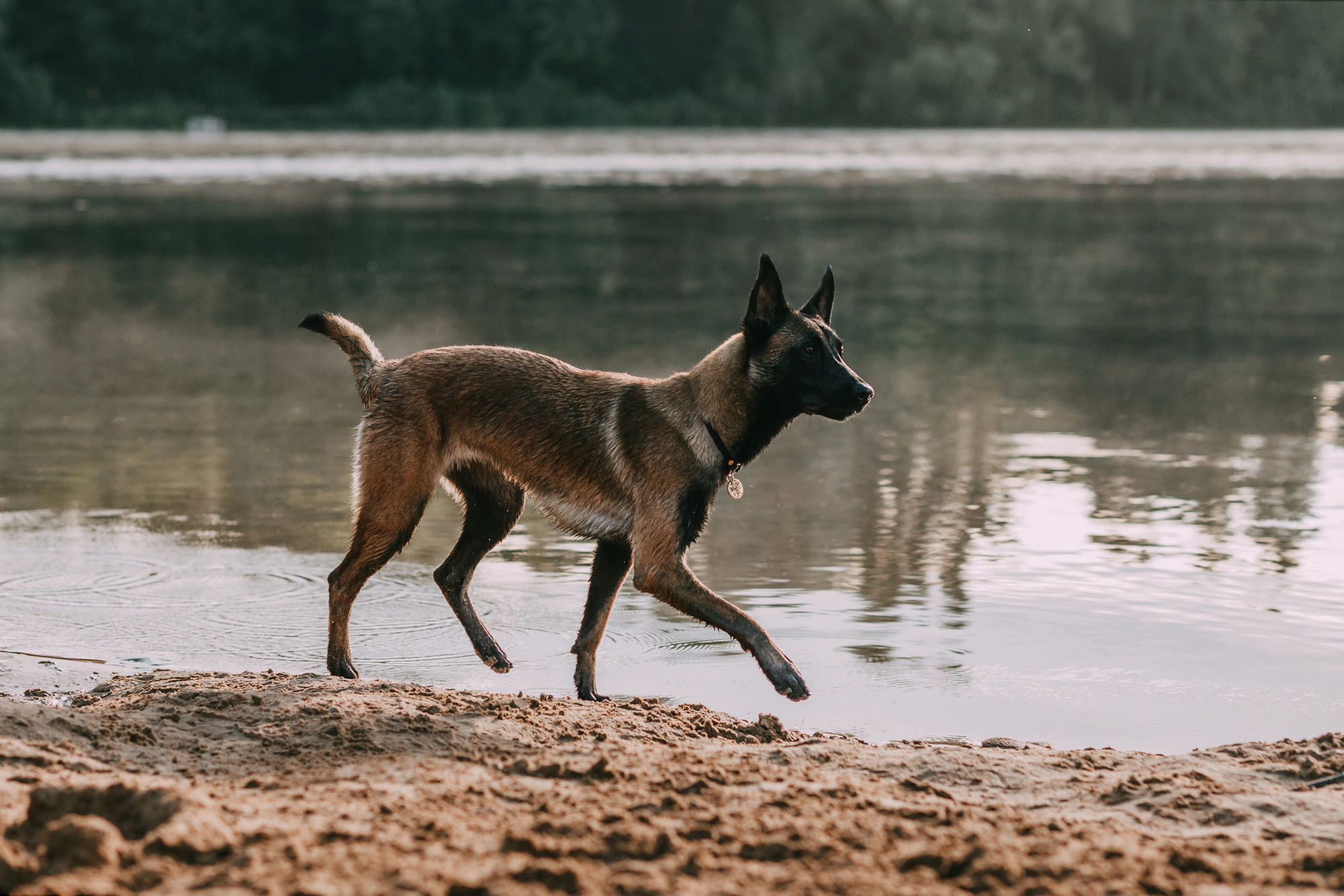 Полина и Ишка. Фотограф-анималист Елена Радченко, Москва