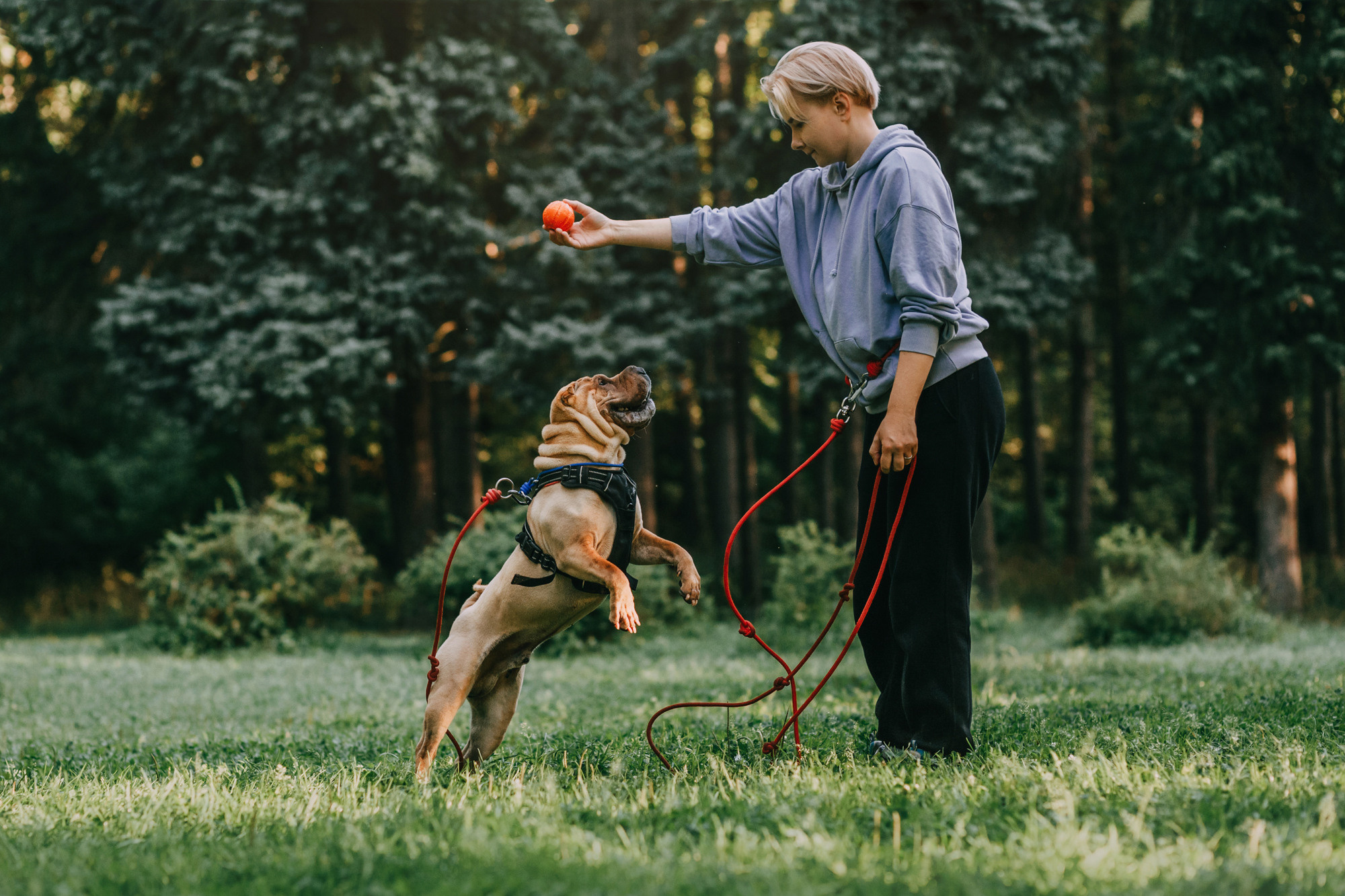 Аппа. Фотограф-анималист Елена Радченко, Москва