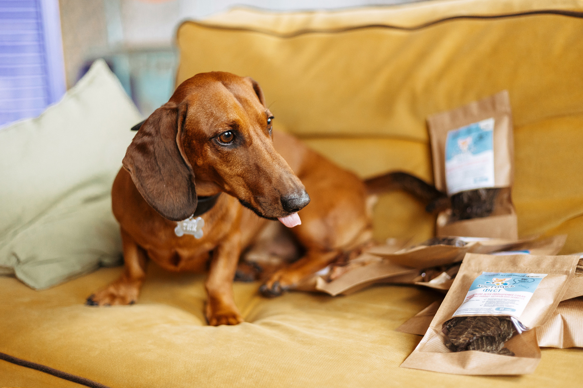 Лакомства Косточка фест. Фотограф-анималист Елена Радченко, Москва