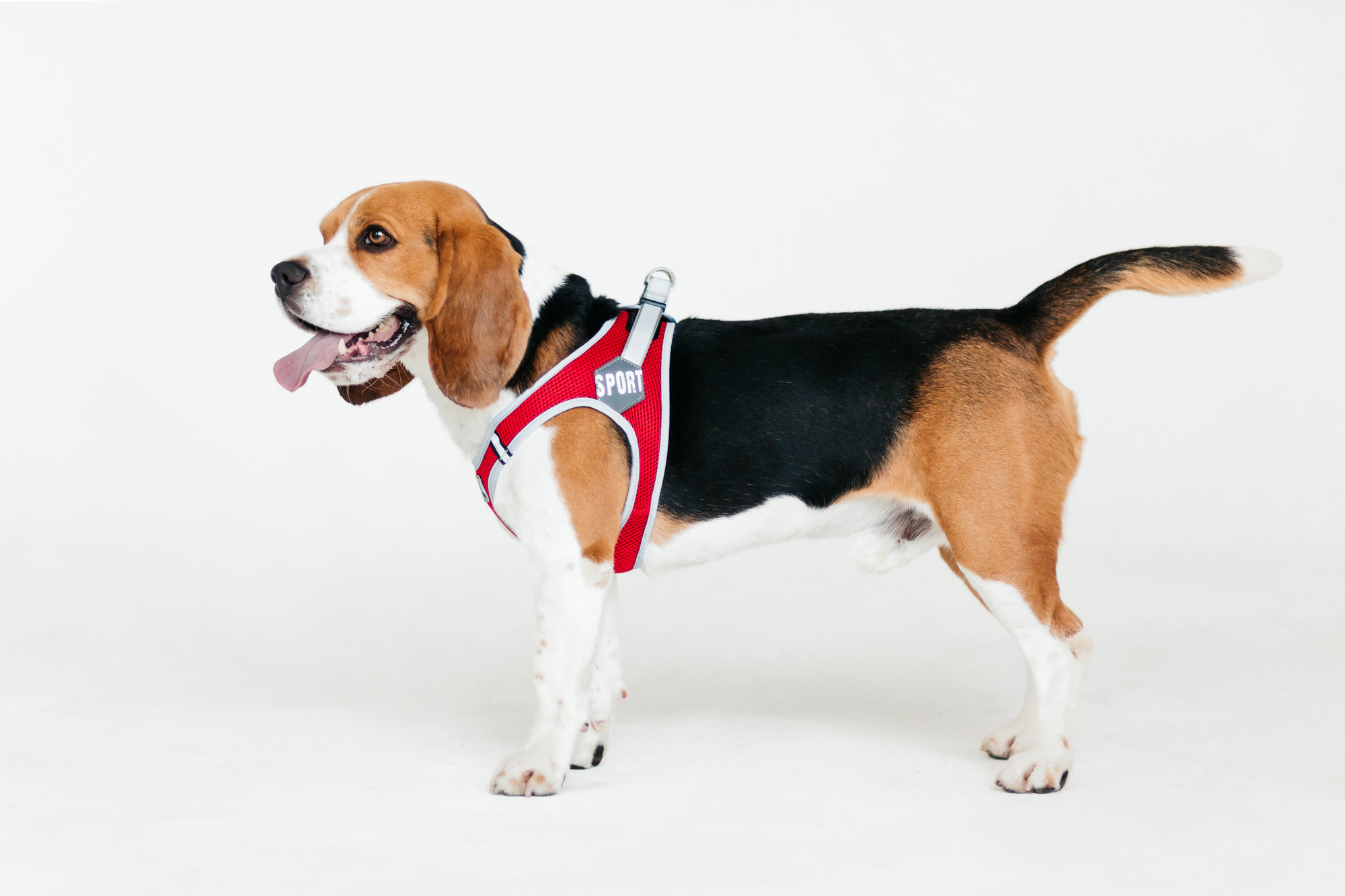 Магазин Каскад. Фотограф-анималист Елена Радченко, Москва