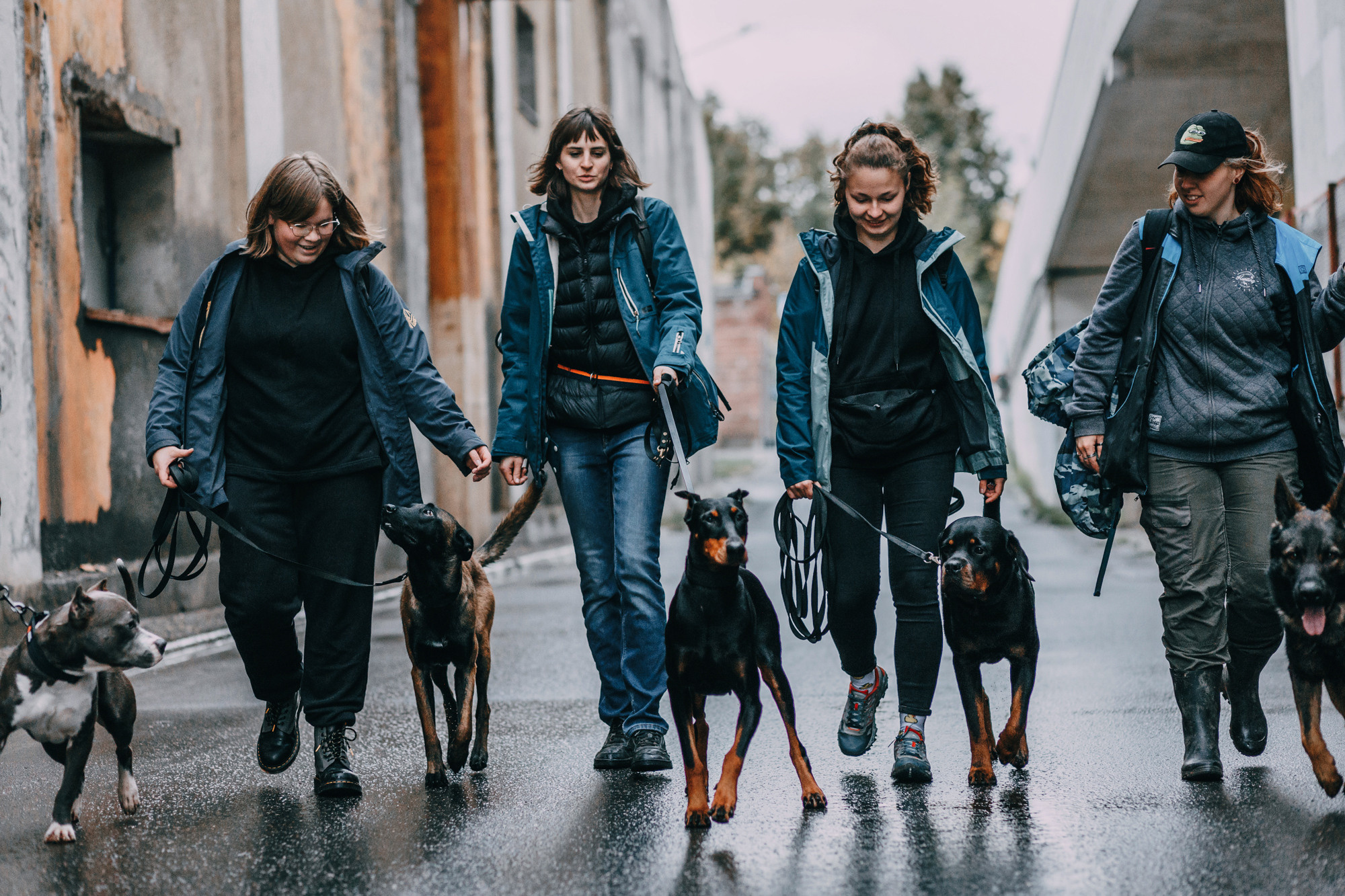 Ошейники Tame flame. Фотограф-анималист Елена Радченко, Москва