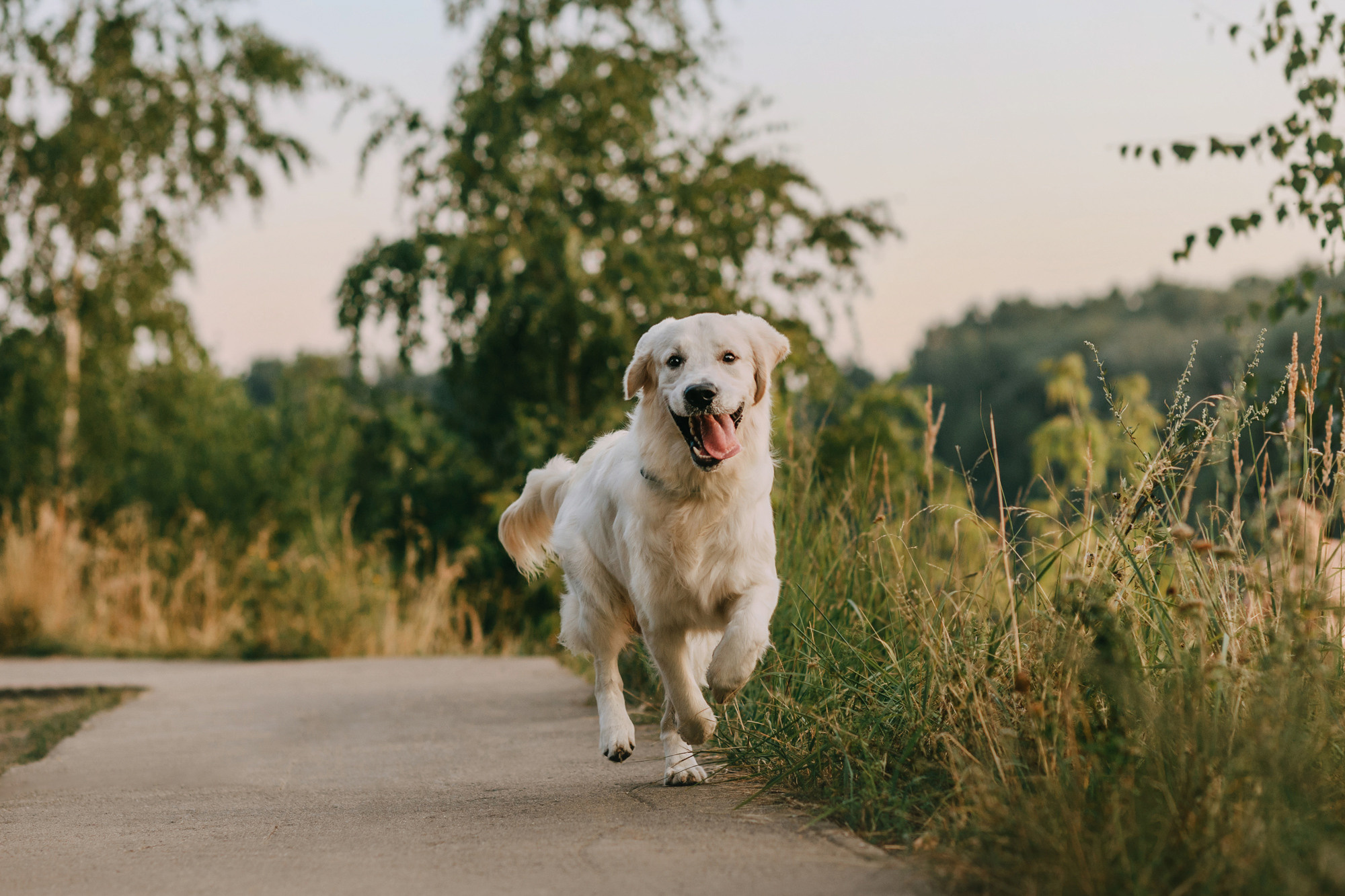 Ольга и Винни. Фотограф-анималист Елена Радченко, Москва
