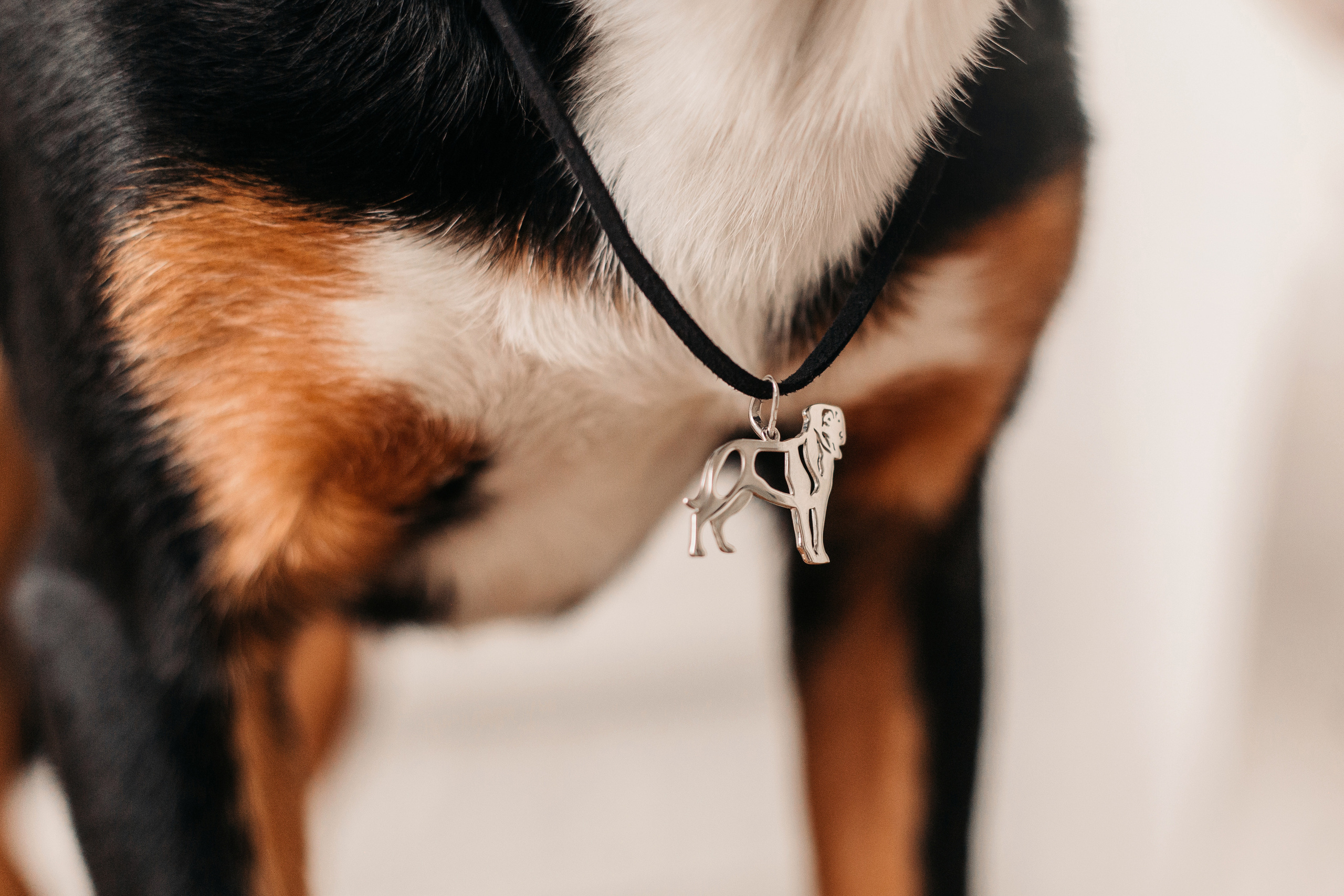 Украшения Diamond Animal. Фотограф-анималист Елена Радченко, Москва