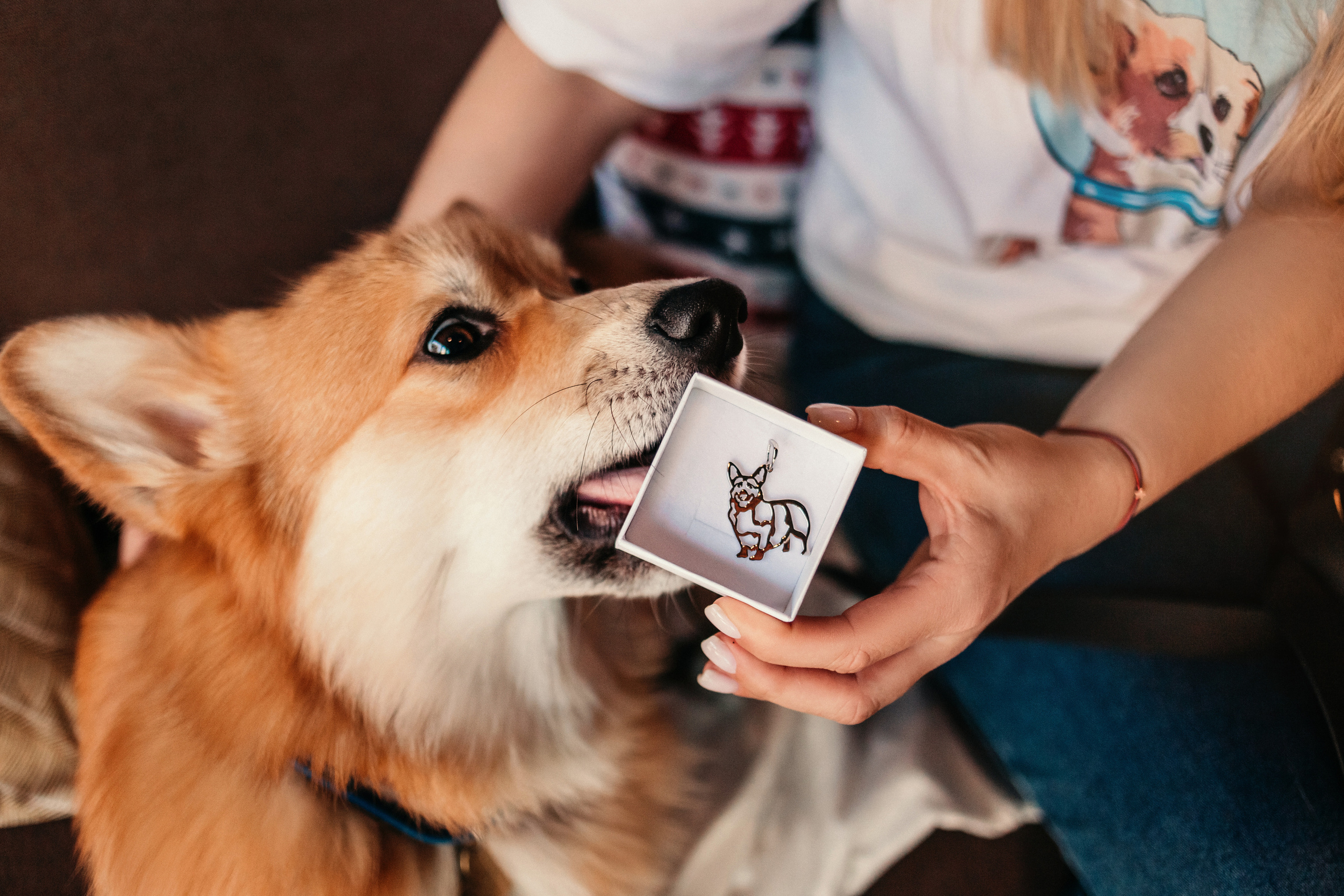 Украшения Diamond Animal. Фотограф-анималист Елена Радченко, Москва