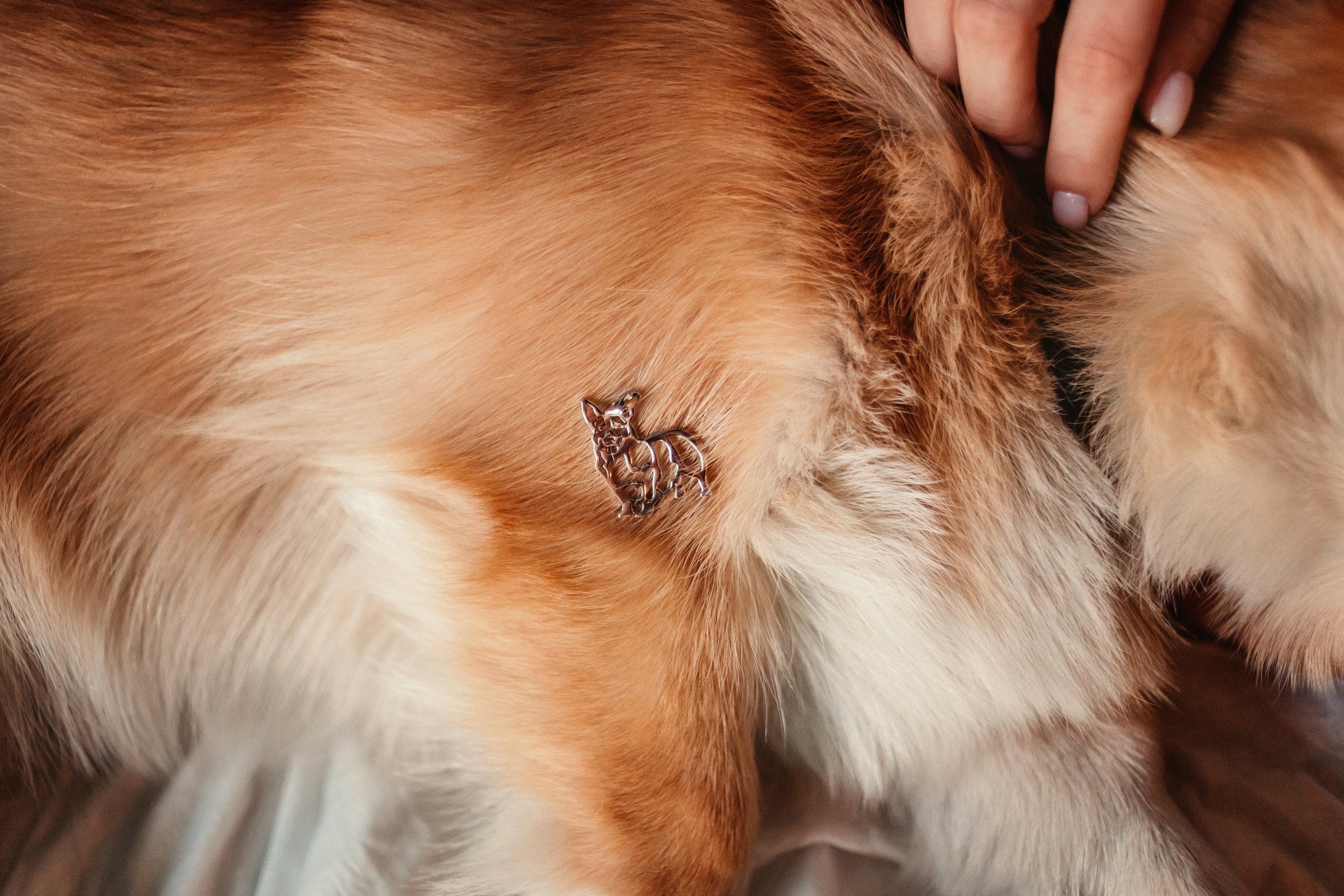 Украшения Diamond Animal. Фотограф-анималист Елена Радченко, Москва