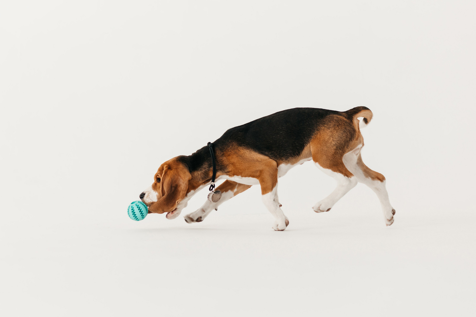 Наталия и Булочка. Фотограф-анималист Елена Радченко, Москва