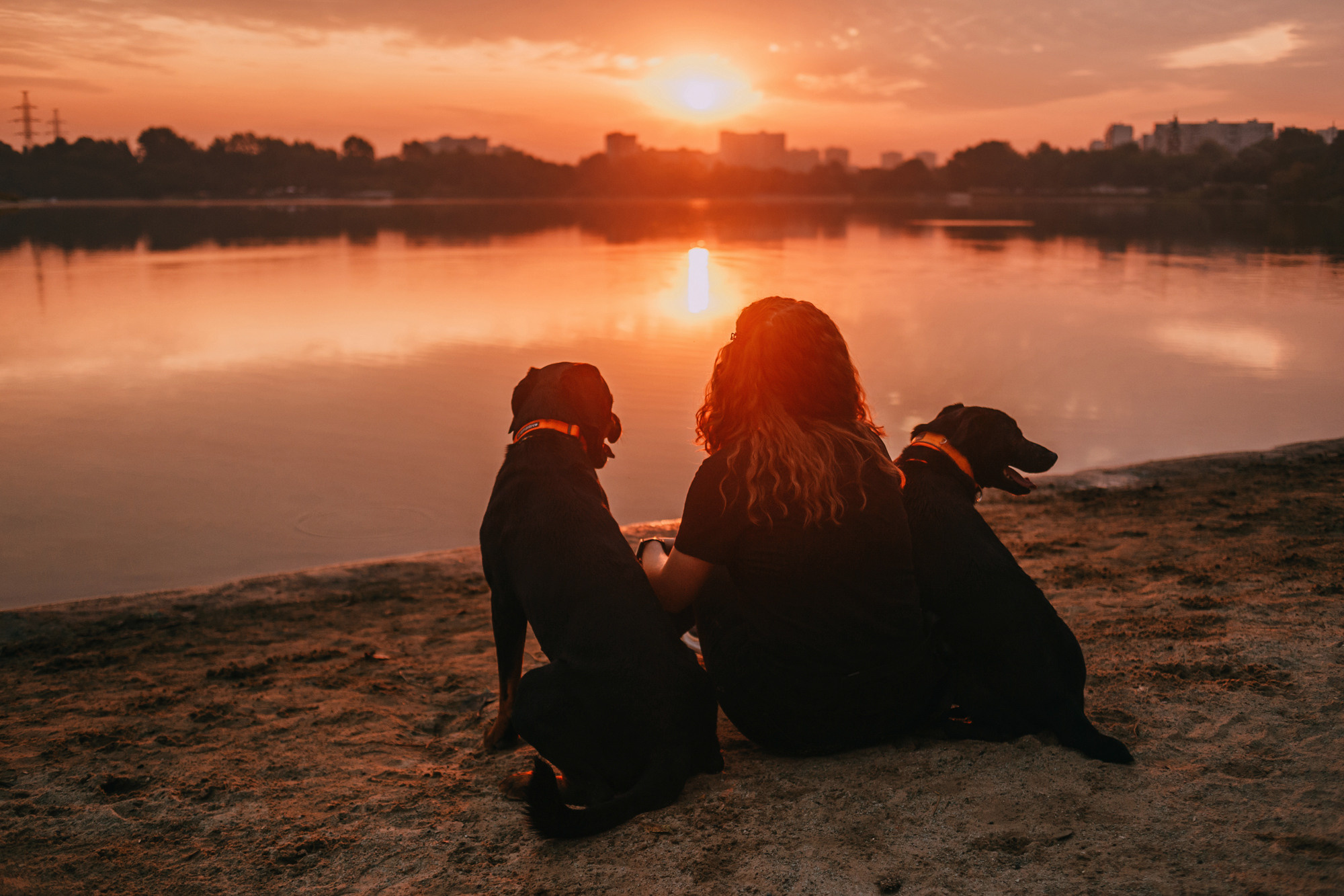 Виктория, Финн и Ливи. Фотограф-анималист Елена Радченко, Москва