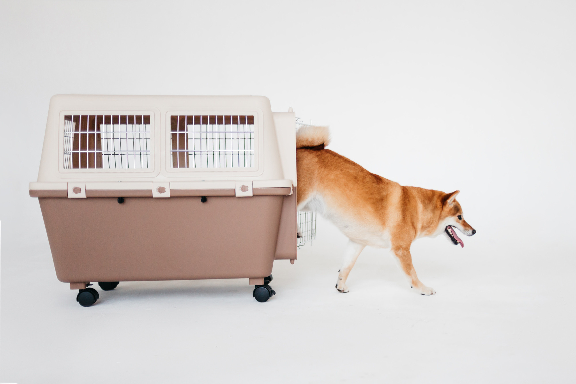 Магазин Каскад. Фотограф-анималист Елена Радченко, Москва