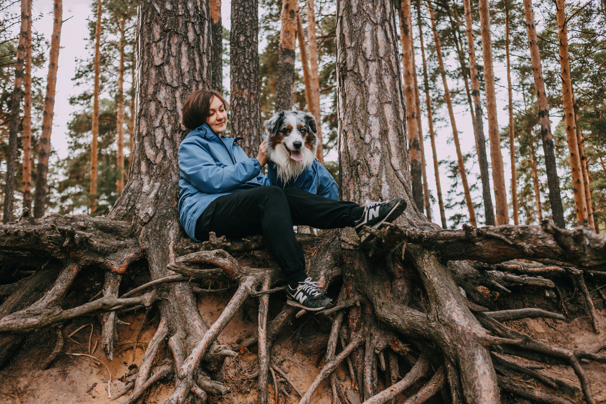 Одежда Armored dog. Фотограф-анималист Елена Радченко, Москва