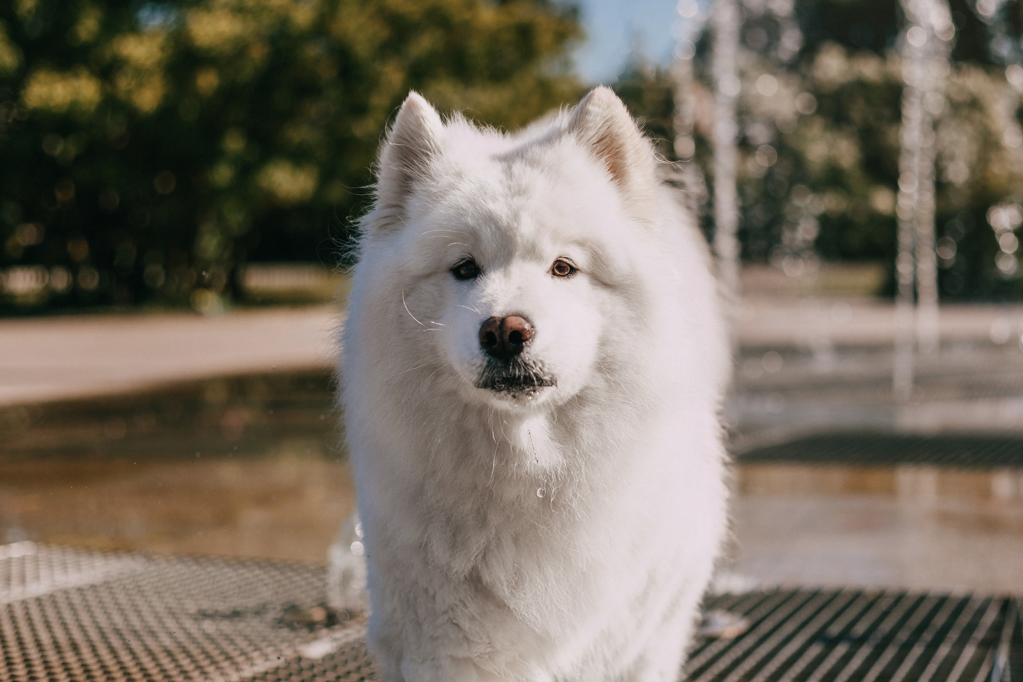 Маша и Уна. Фотограф-анималист Елена Радченко, Москва