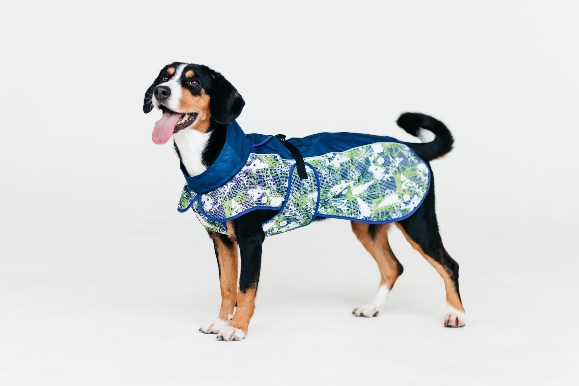 Магазин Каскад. Фотограф-анималист Елена Радченко, Москва