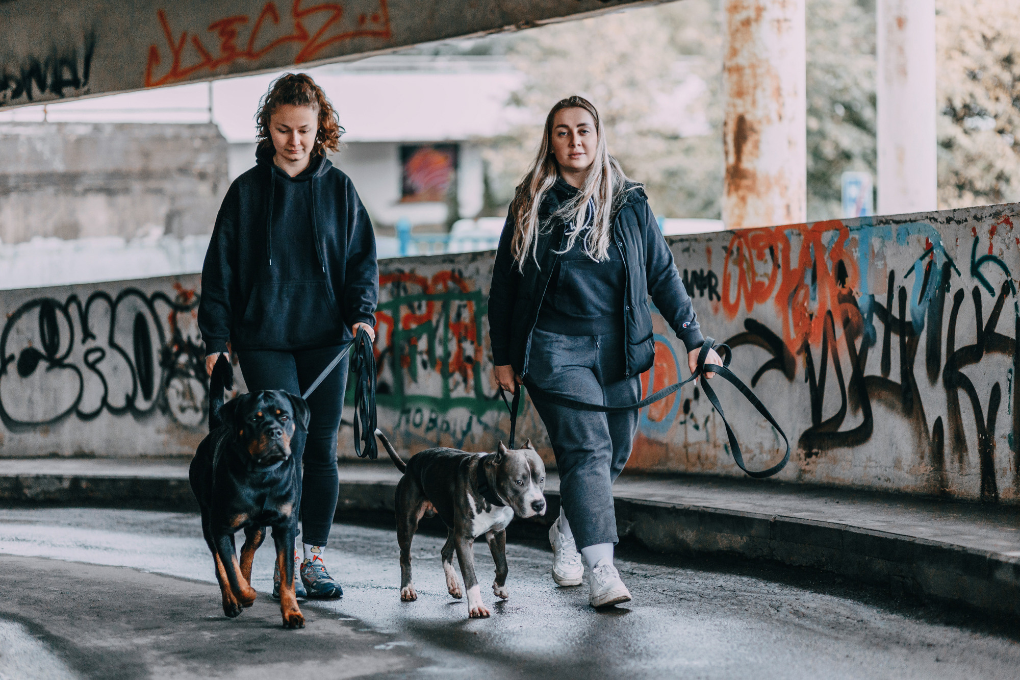 Ошейники Tame flame. Фотограф-анималист Елена Радченко, Москва