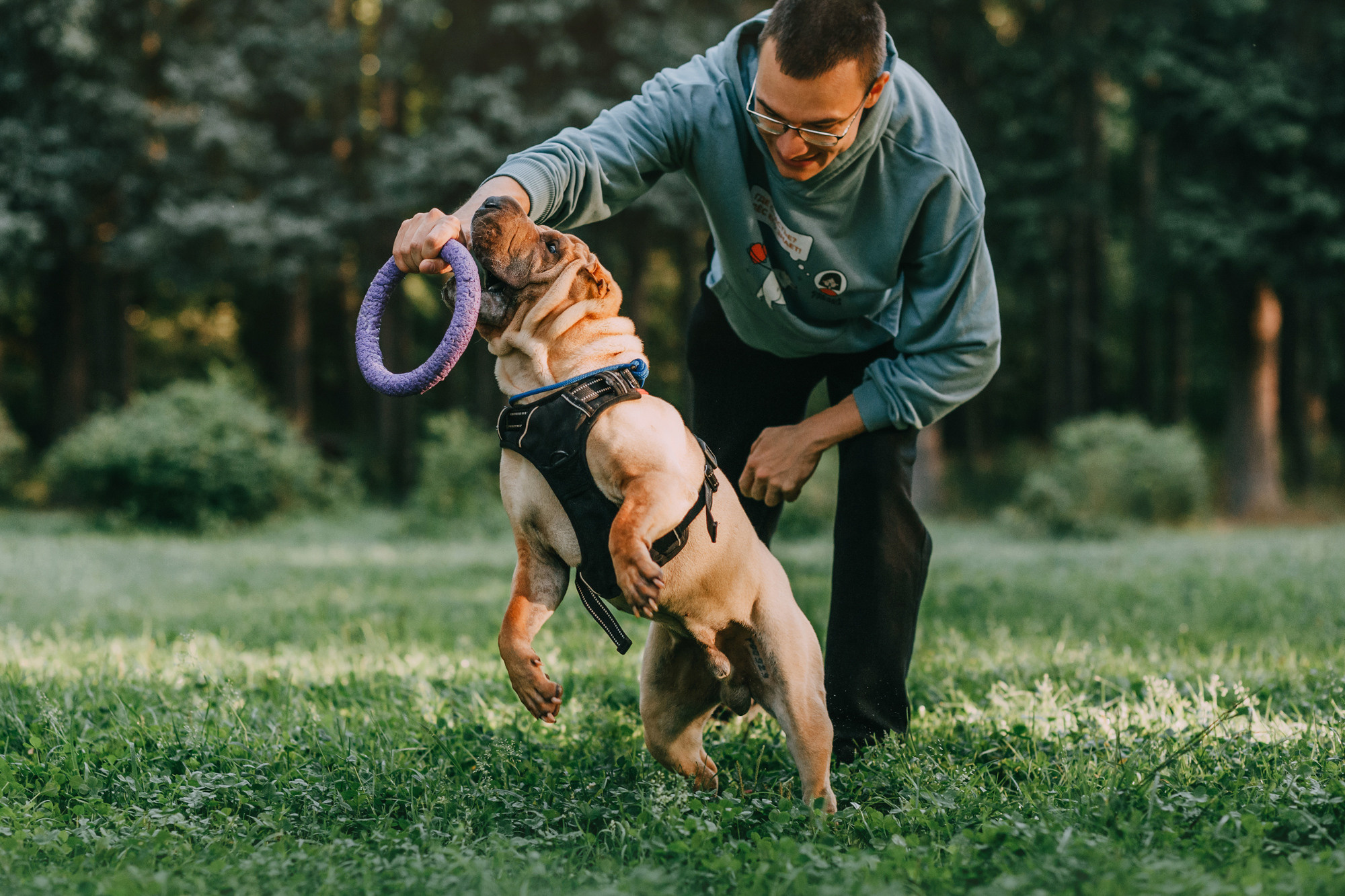 Аппа. Фотограф-анималист Елена Радченко, Москва