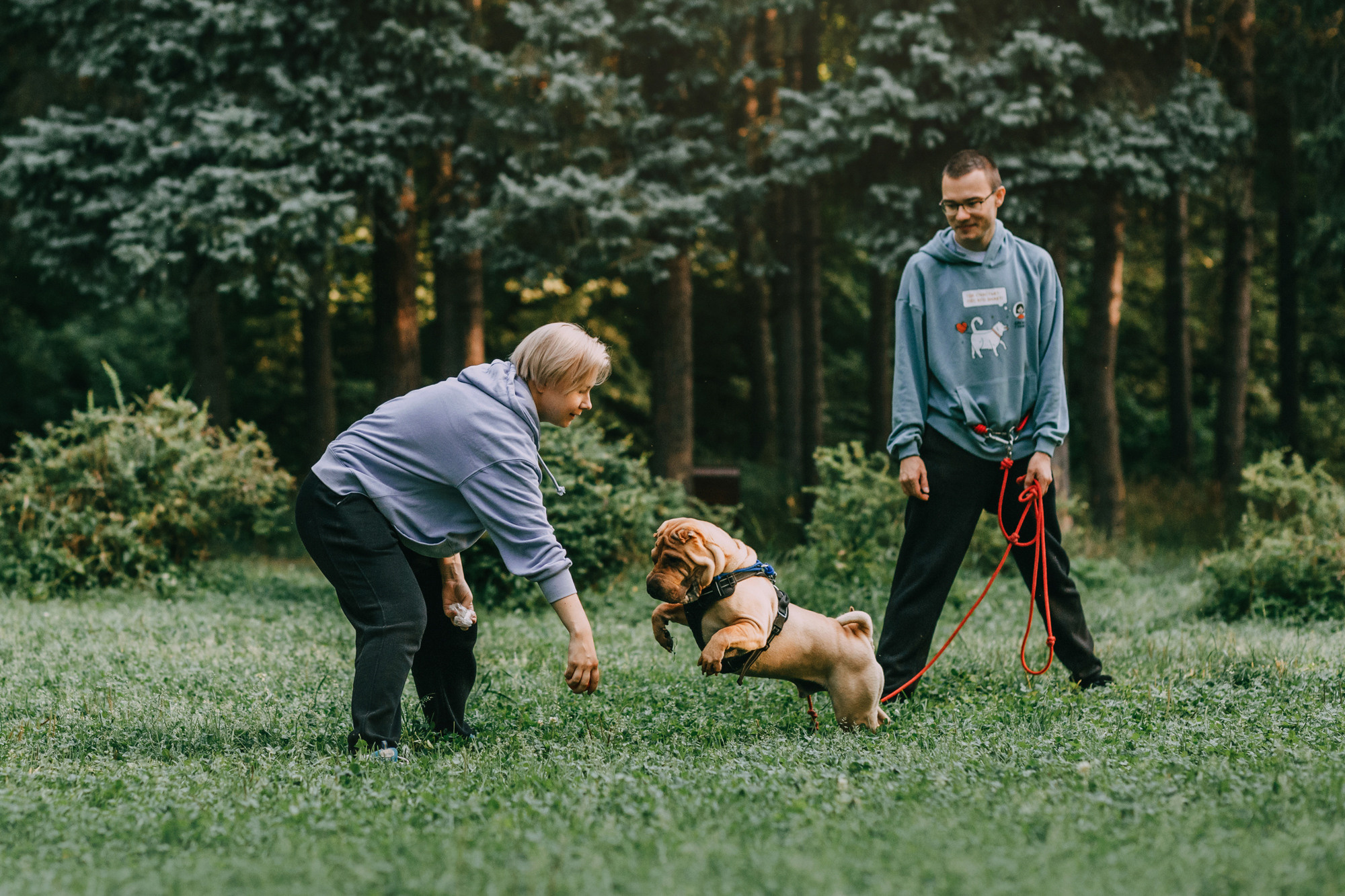 Аппа. Фотограф-анималист Елена Радченко, Москва