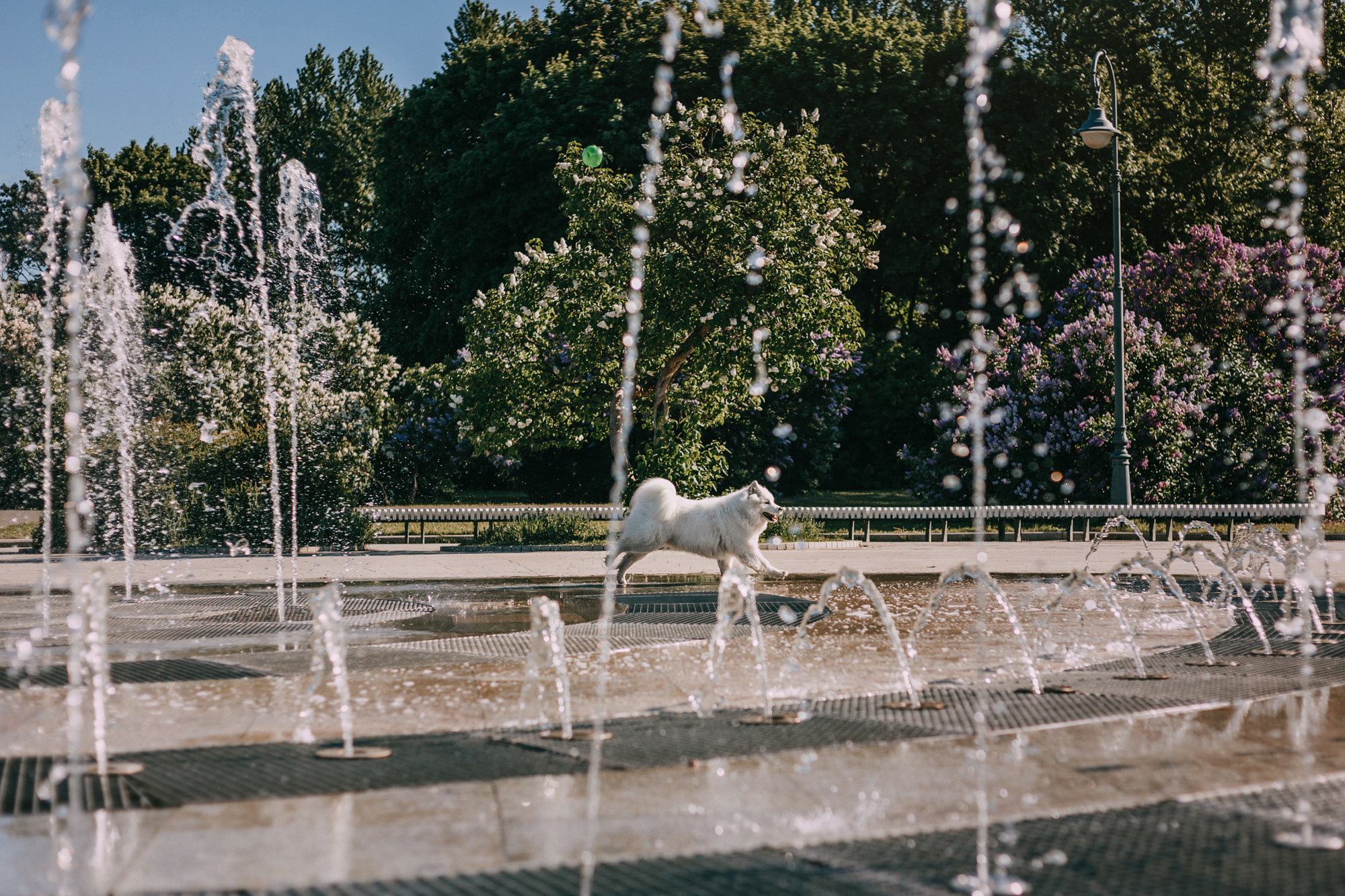 Маша и Уна. Фотограф-анималист Елена Радченко, Москва