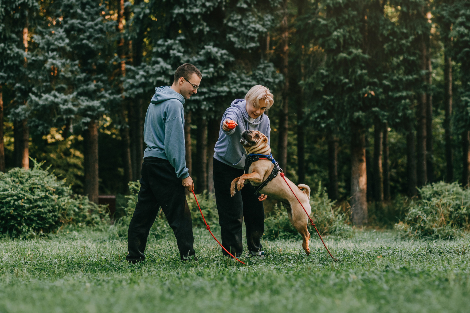 Аппа. Фотограф-анималист Елена Радченко, Москва