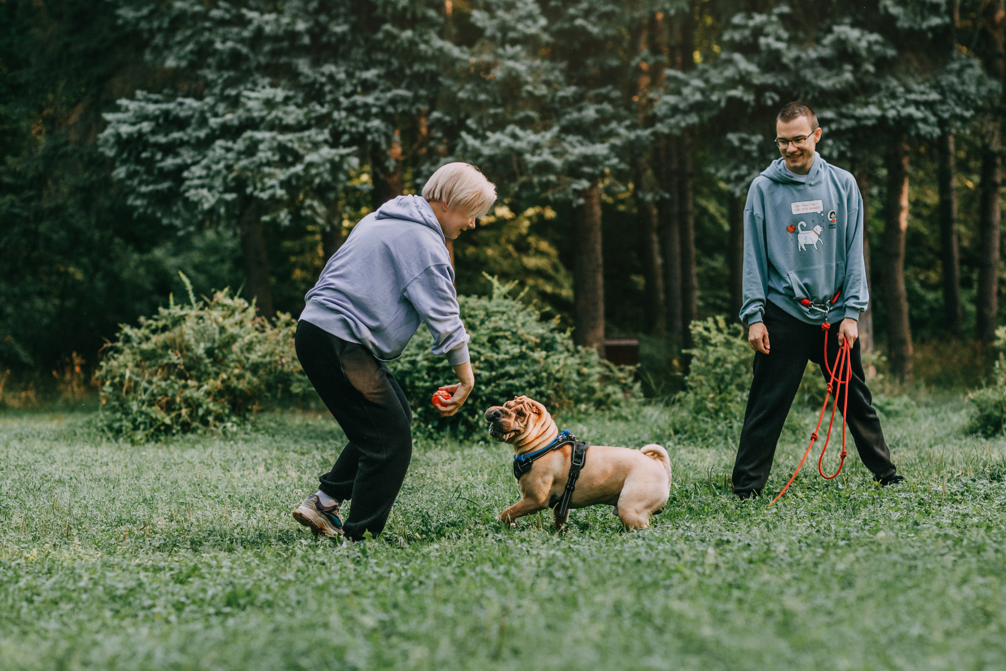 Аппа. Фотограф-анималист Елена Радченко, Москва