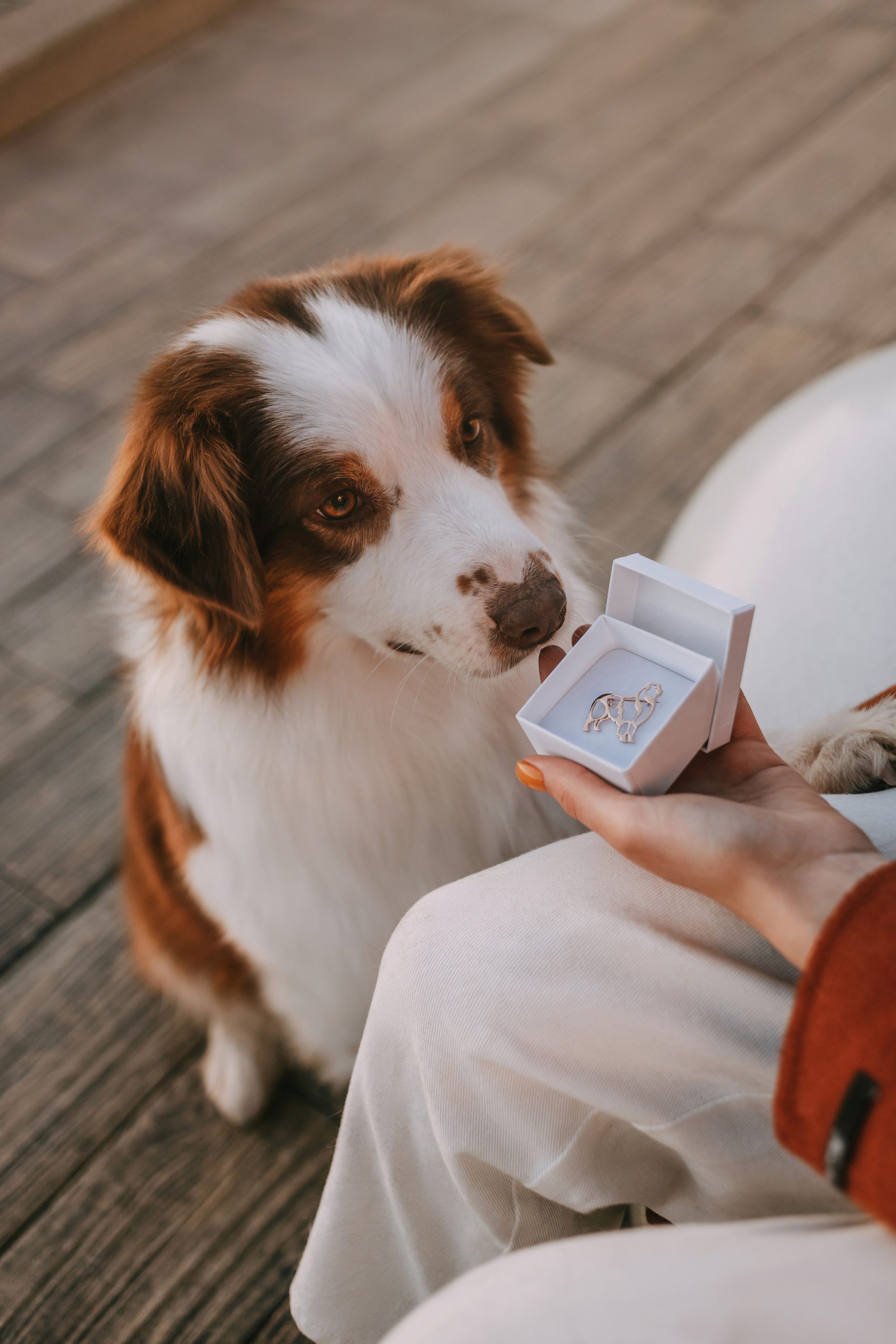 Украшения Diamond Animal. Фотограф-анималист Елена Радченко, Москва