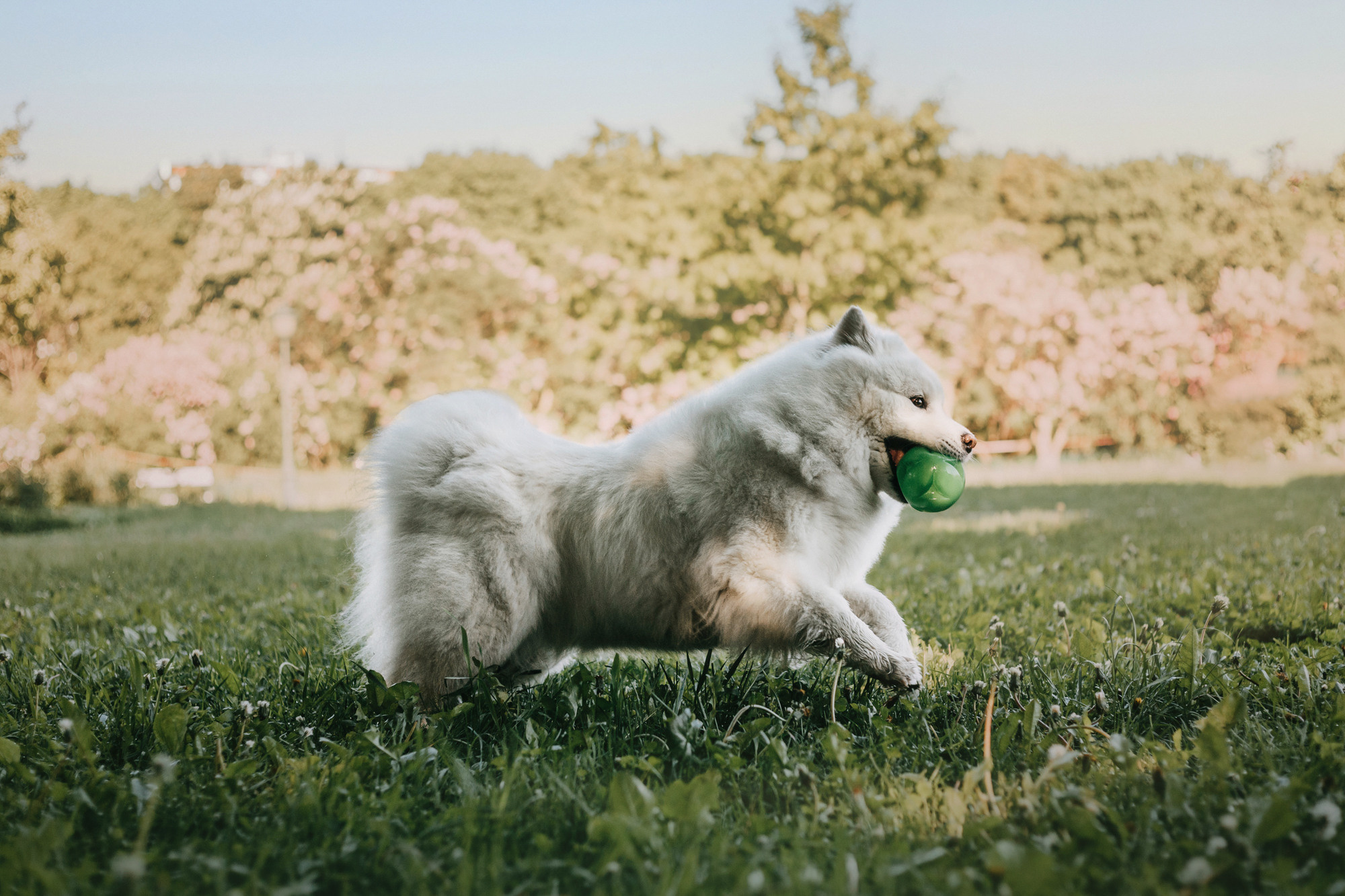 Маша и Уна. Фотограф-анималист Елена Радченко, Москва
