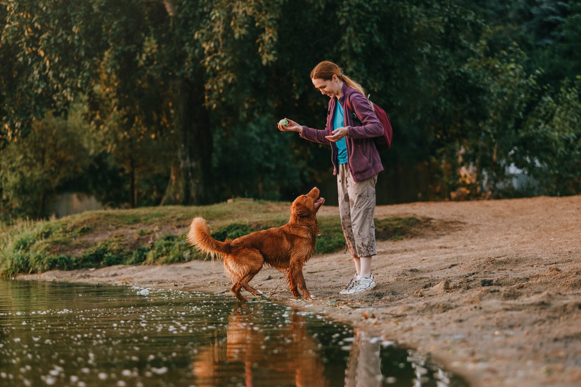 Бублик. Фотограф-анималист Елена Радченко, Москва