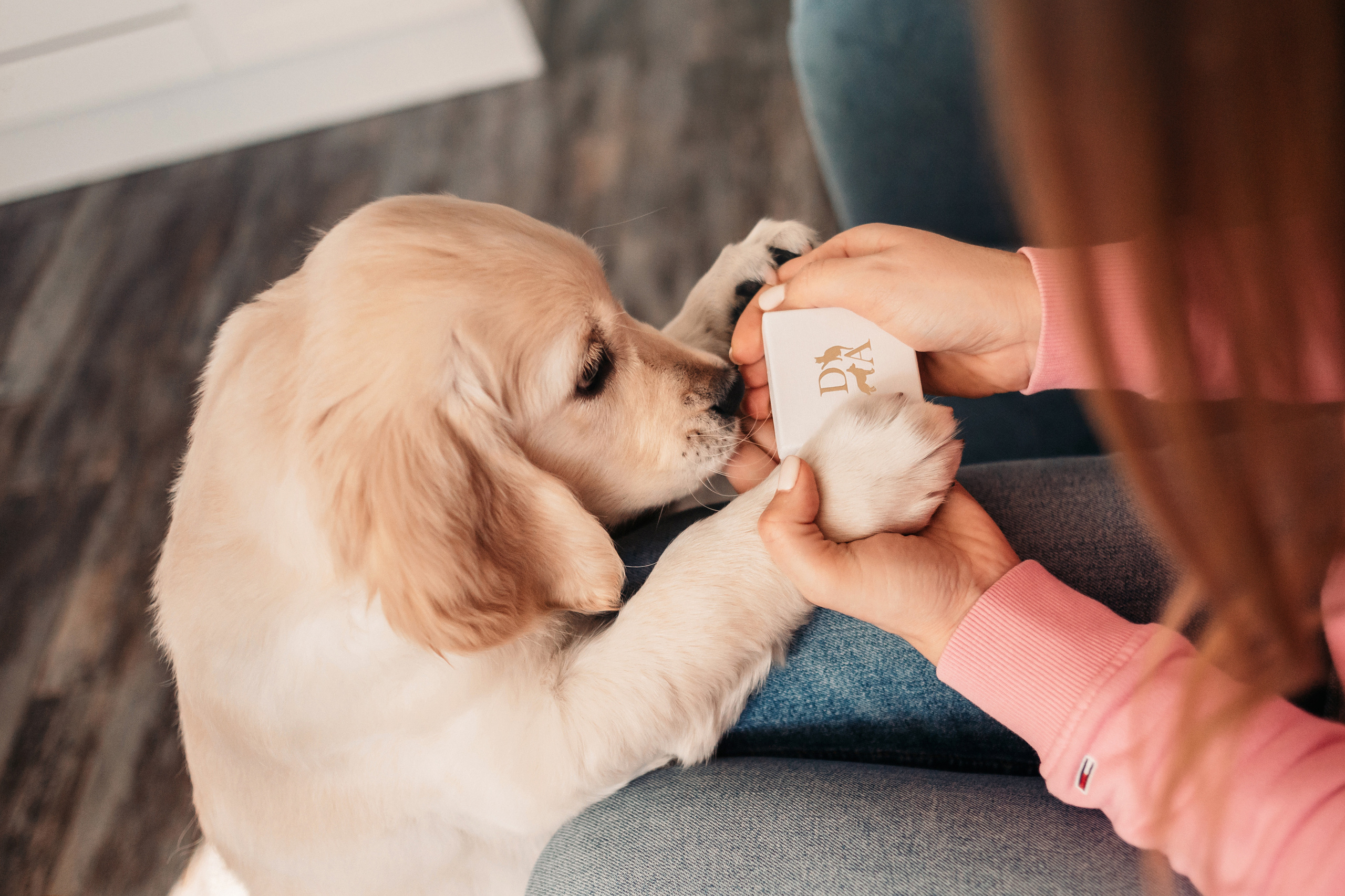 Украшения Diamond Animal. Фотограф-анималист Елена Радченко, Москва