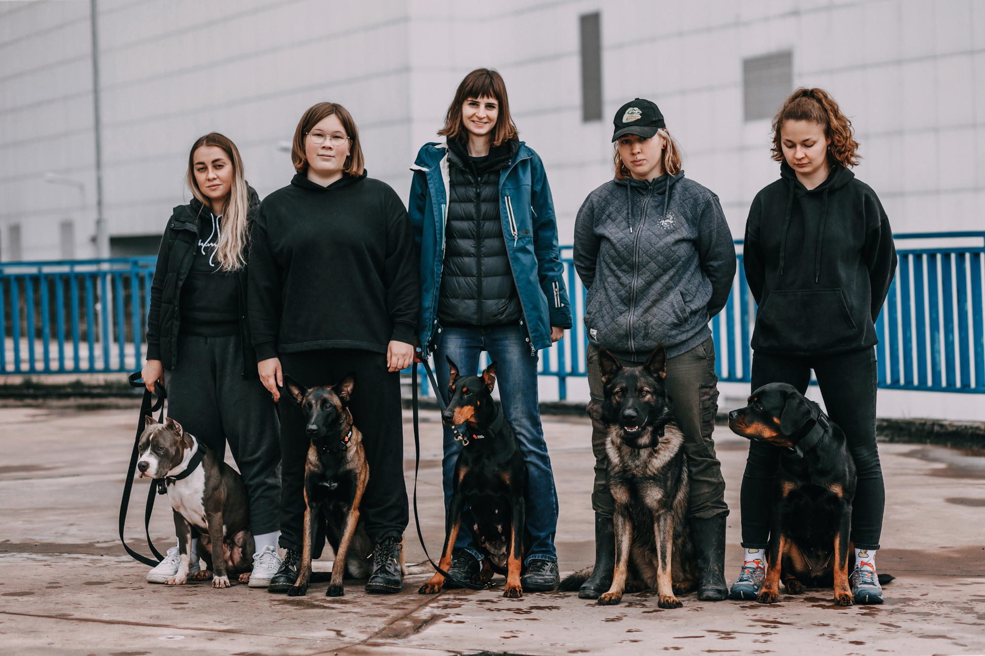 Ошейники Tame flame. Фотограф-анималист Елена Радченко, Москва