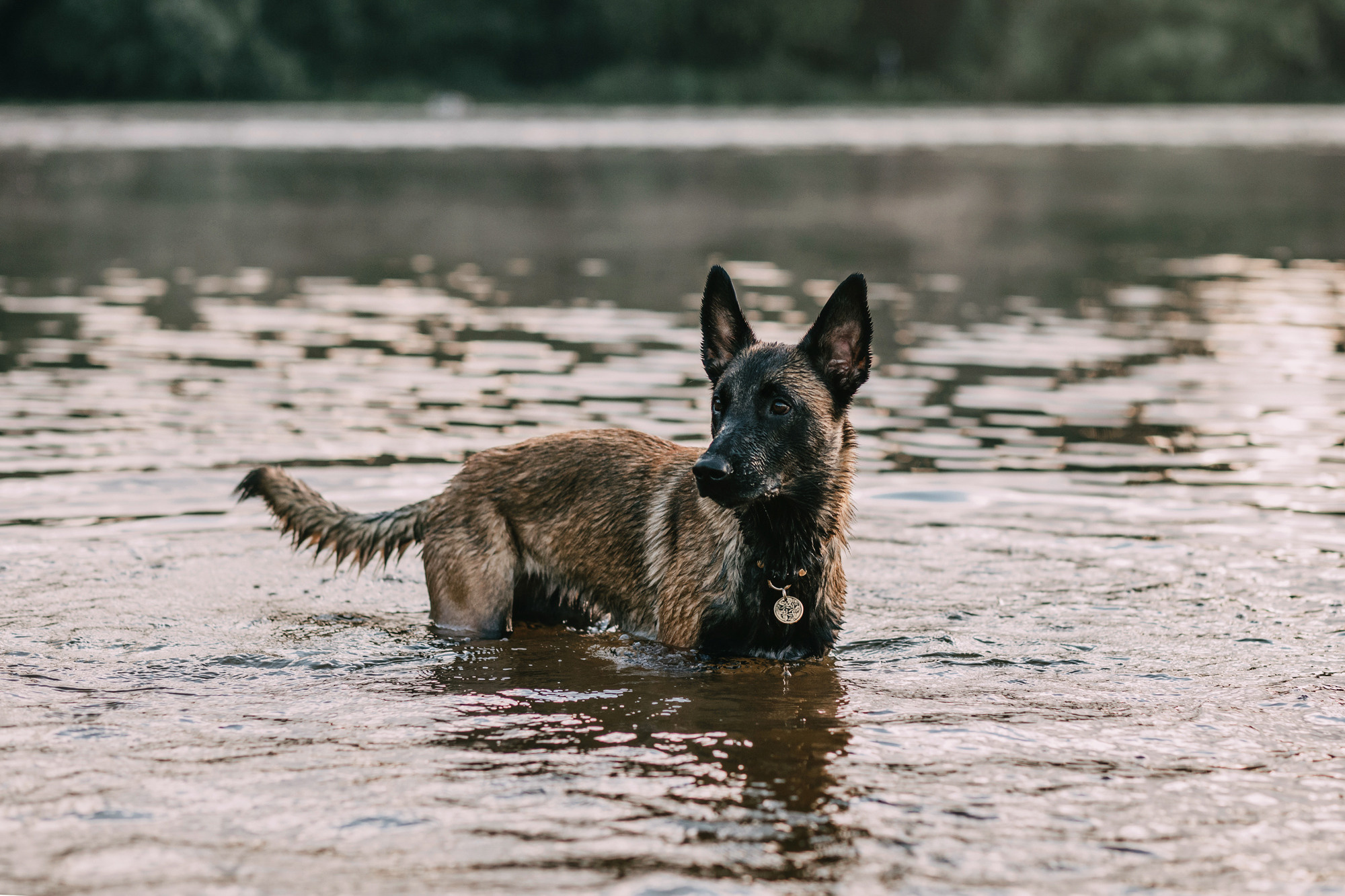 Полина и Ишка. Фотограф-анималист Елена Радченко, Москва
