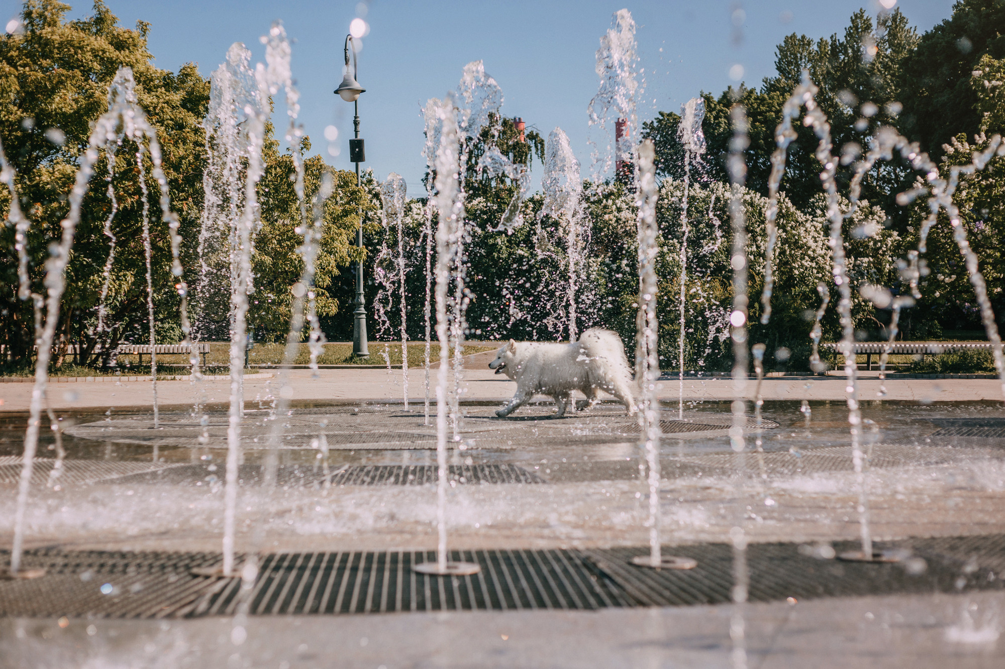 Маша и Уна. Фотограф-анималист Елена Радченко, Москва