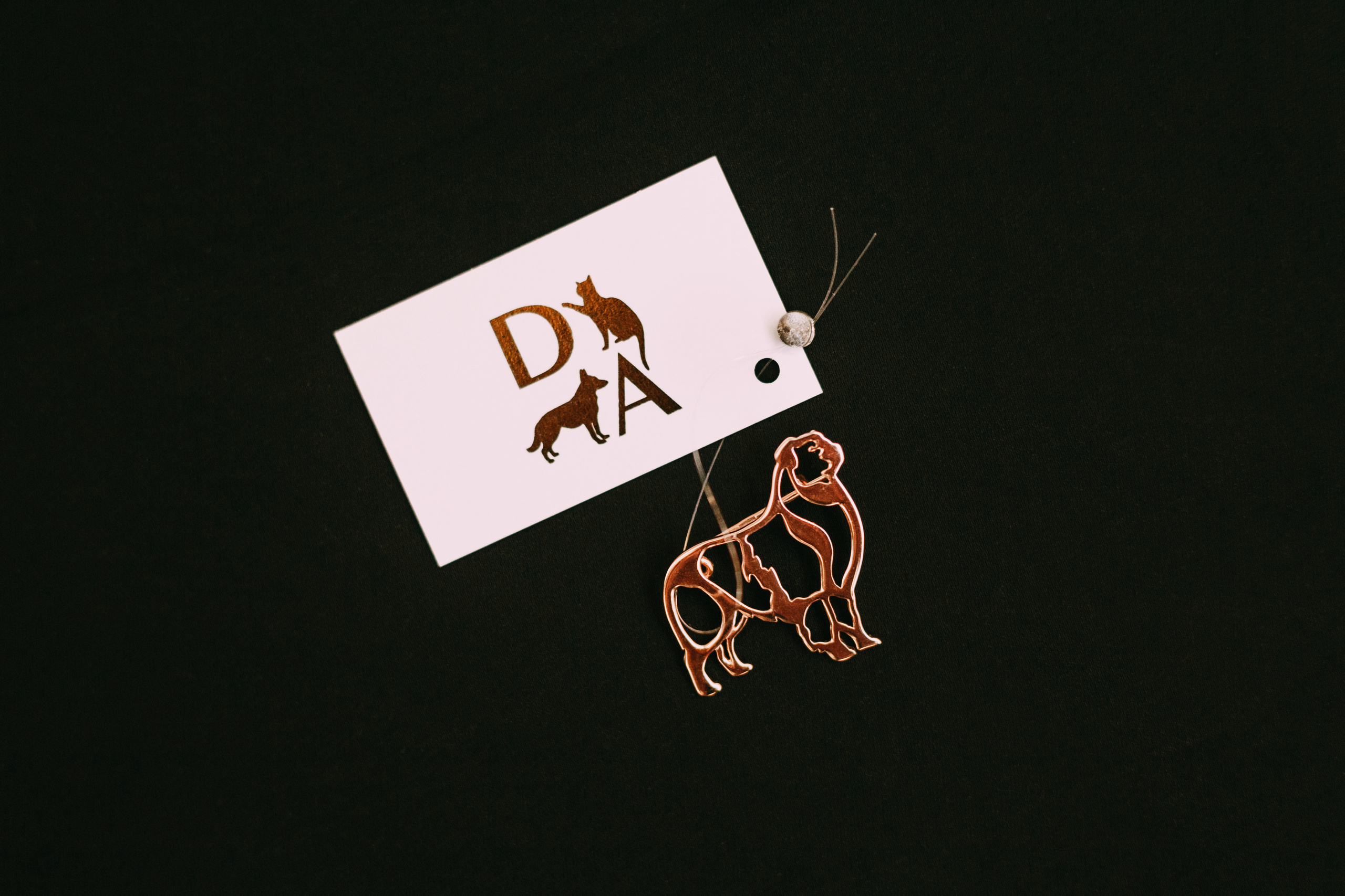 Украшения Diamond Animal. Фотограф-анималист Елена Радченко, Москва