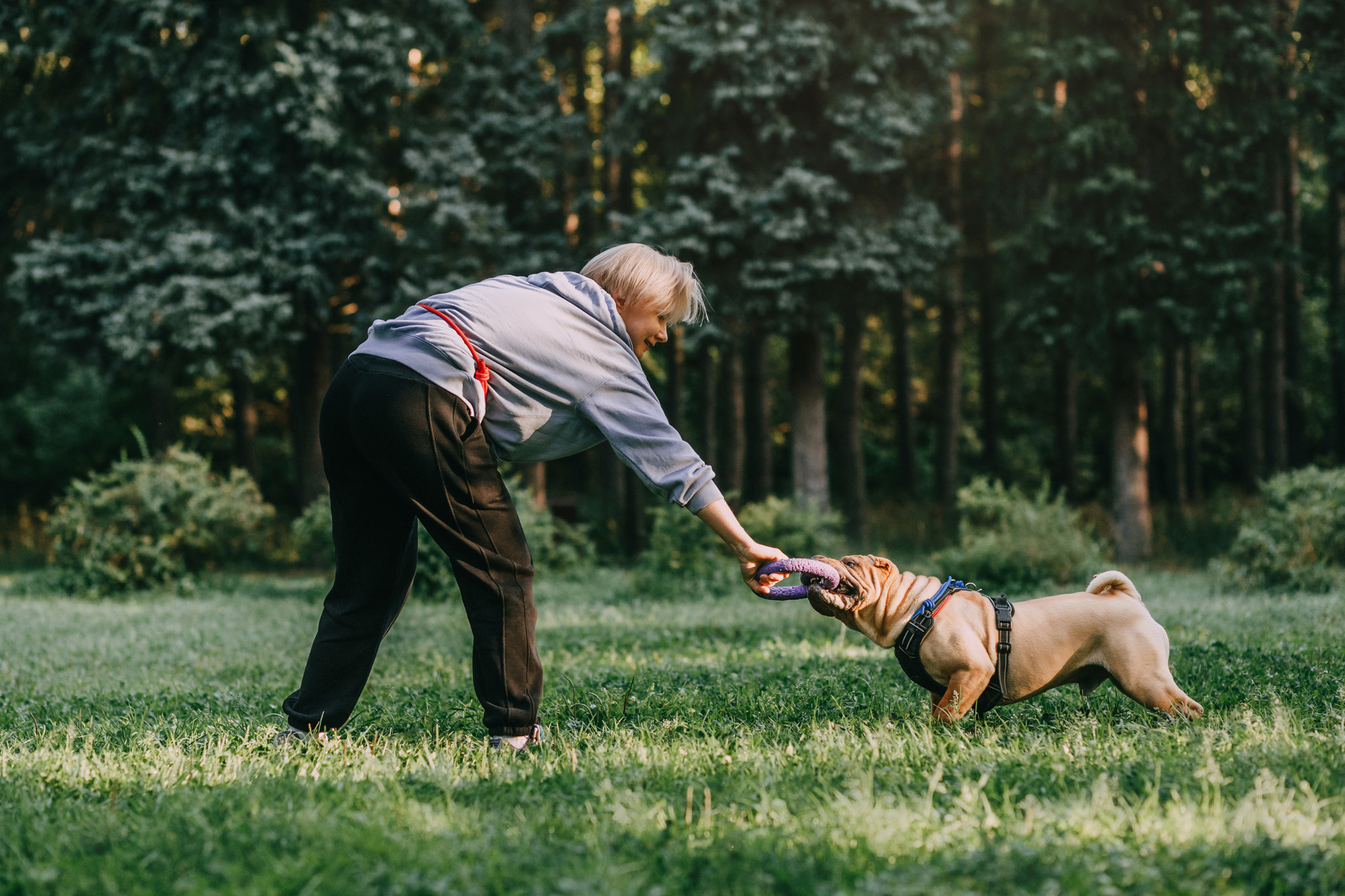 Аппа. Фотограф-анималист Елена Радченко, Москва