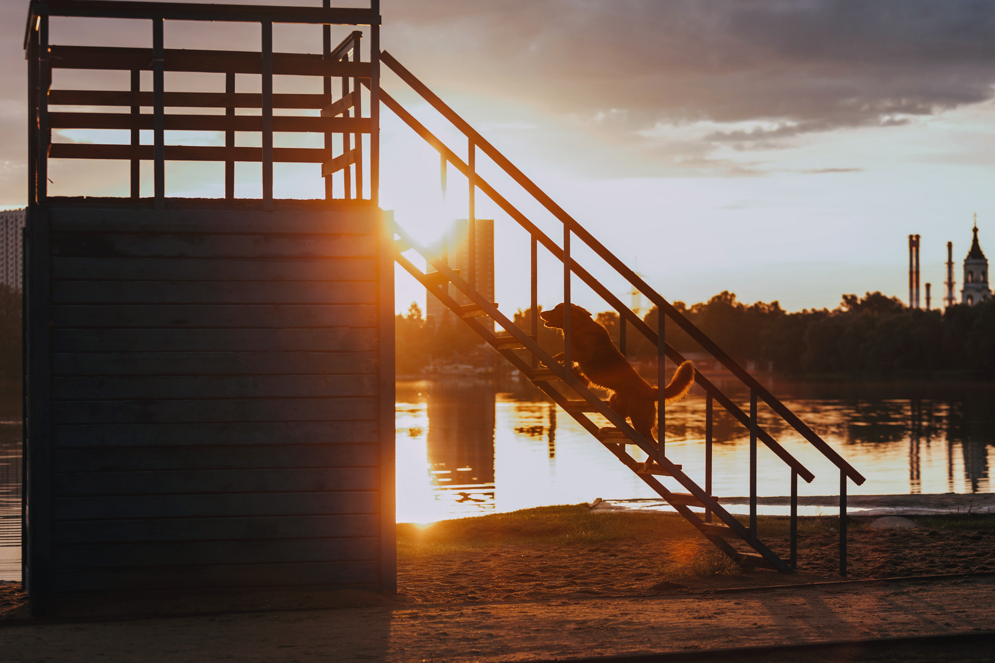 Бублик. Фотограф-анималист Елена Радченко, Москва