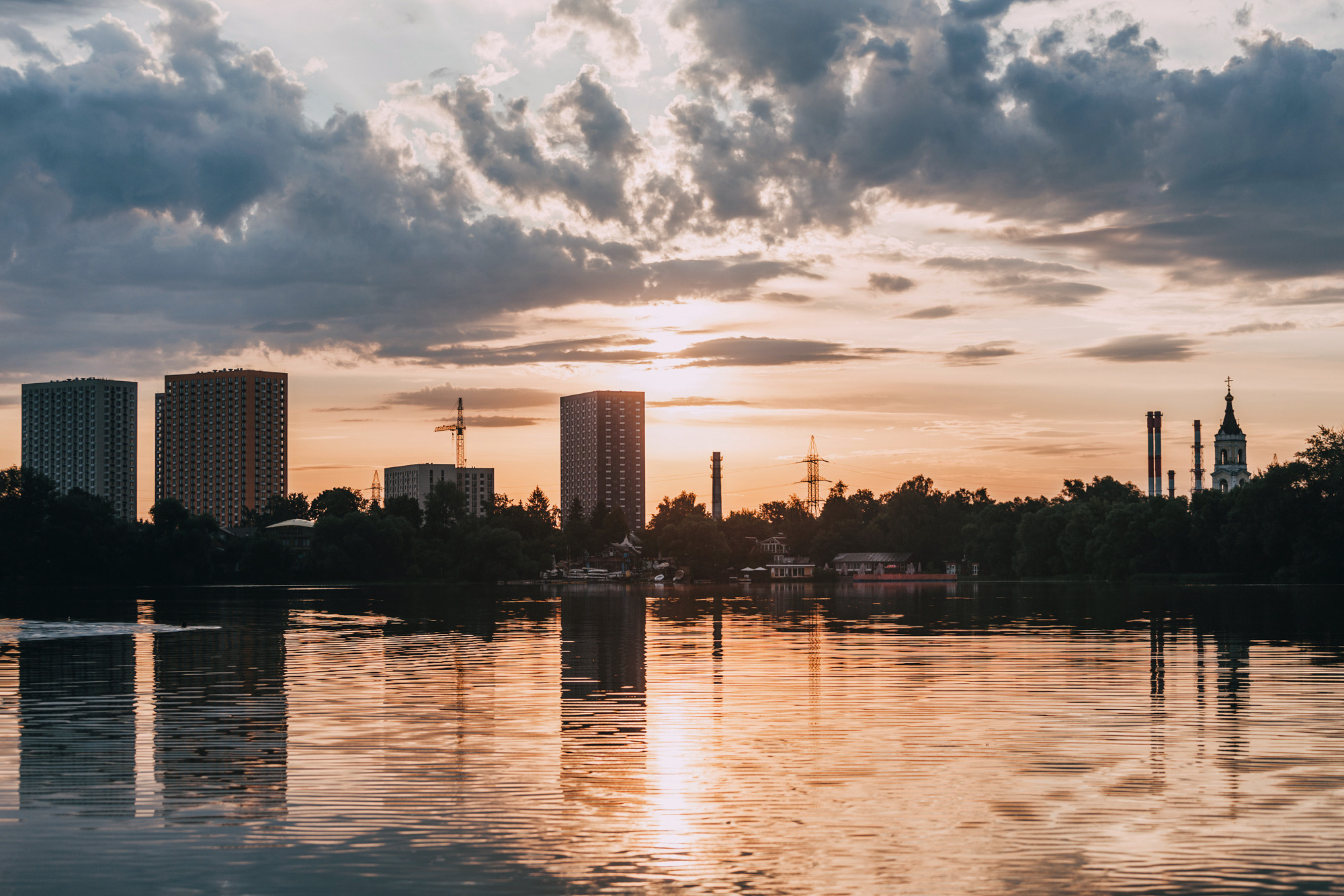Бублик. Фотограф-анималист Елена Радченко, Москва