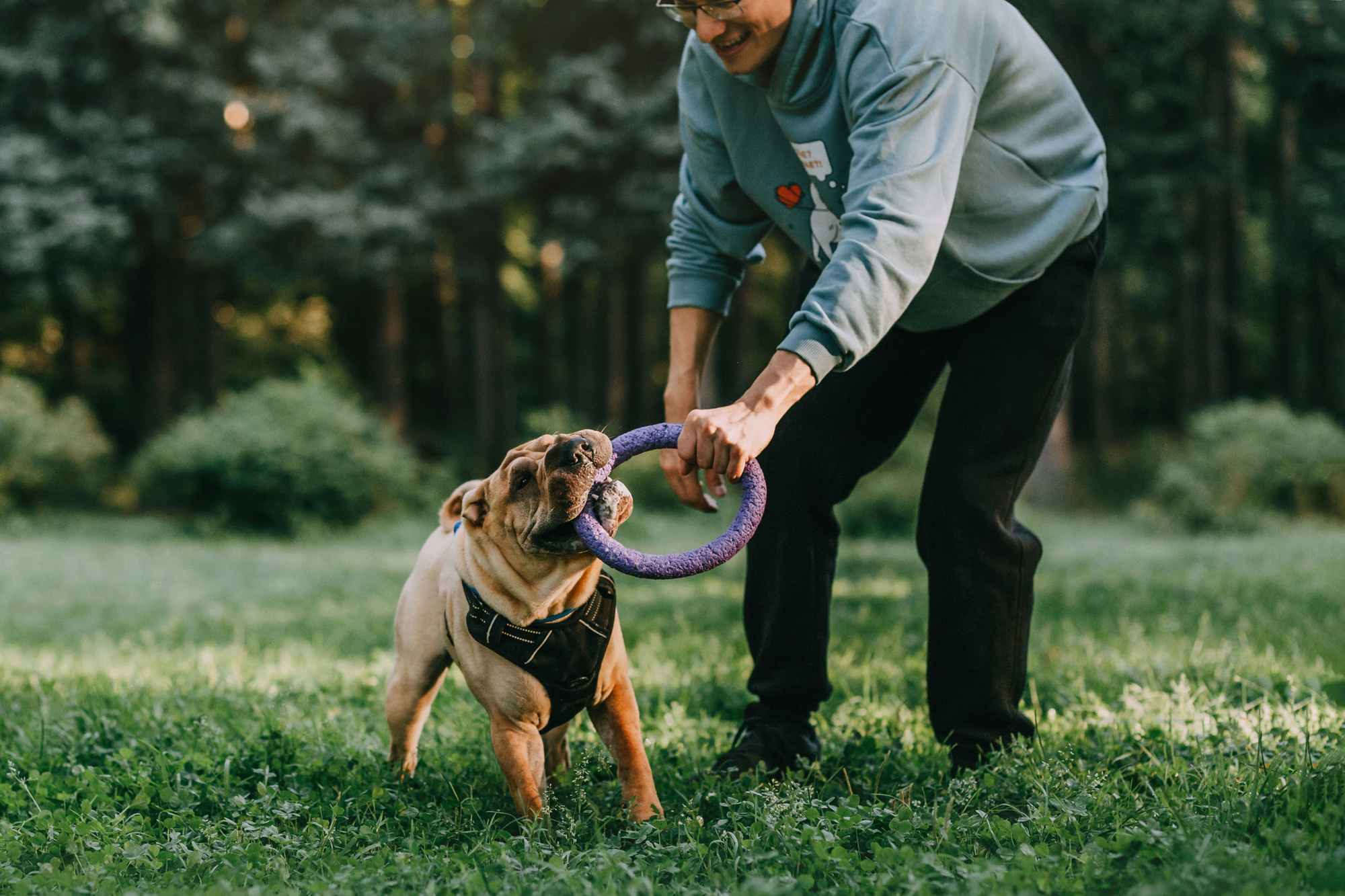 Аппа. Фотограф-анималист Елена Радченко, Москва