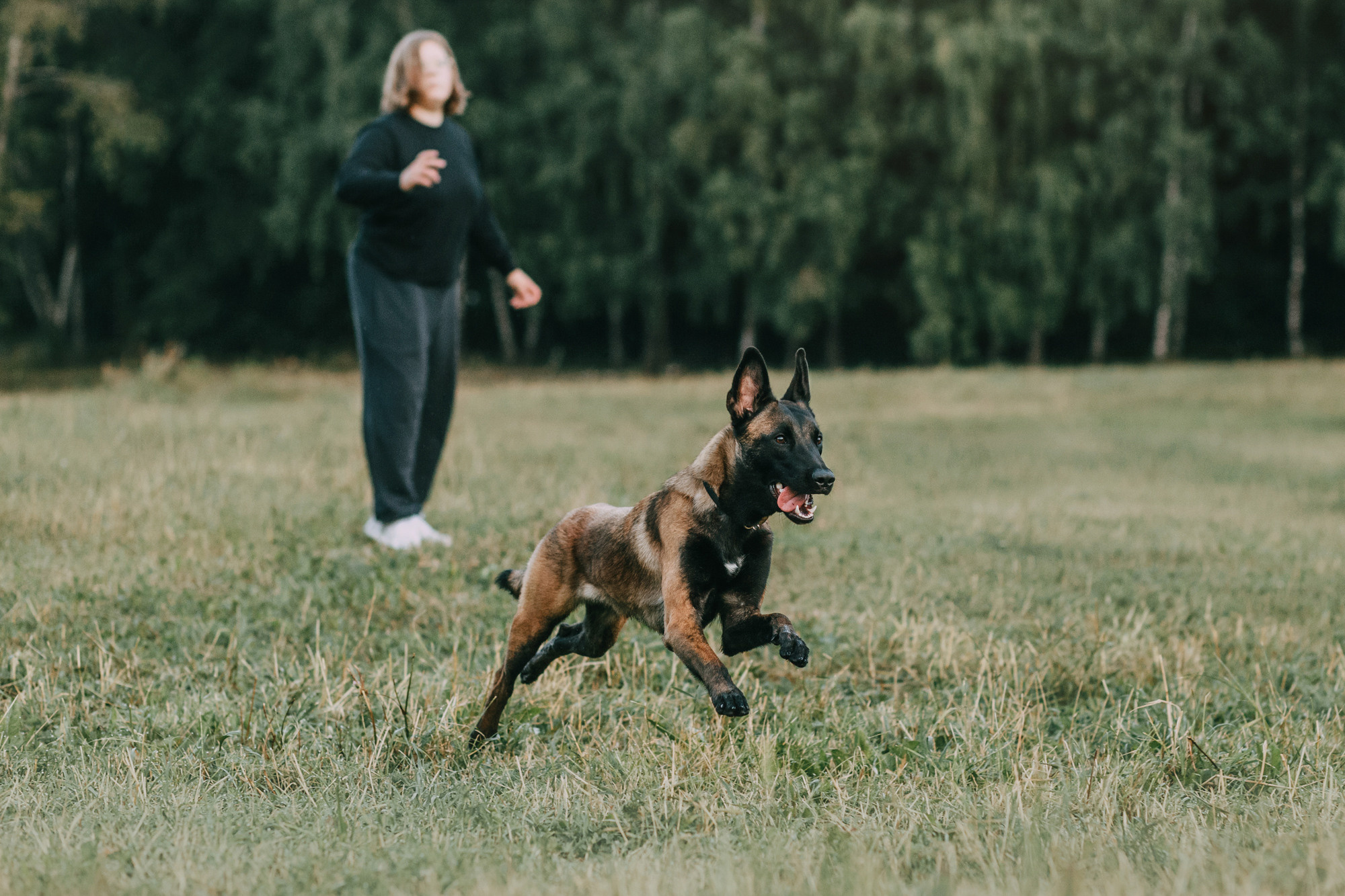 Полина и Ишка. Фотограф-анималист Елена Радченко, Москва