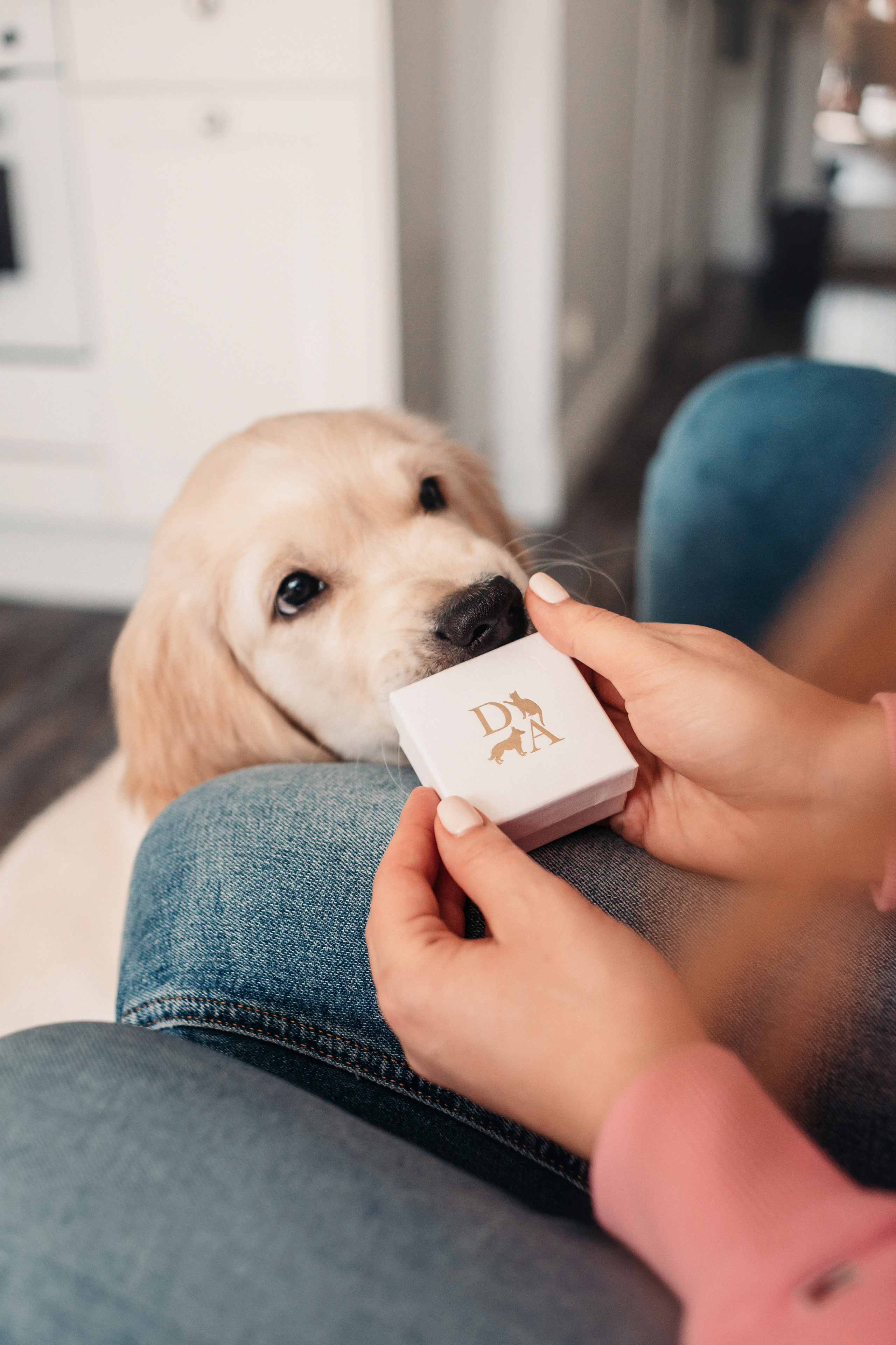 Украшения Diamond Animal. Фотограф-анималист Елена Радченко, Москва