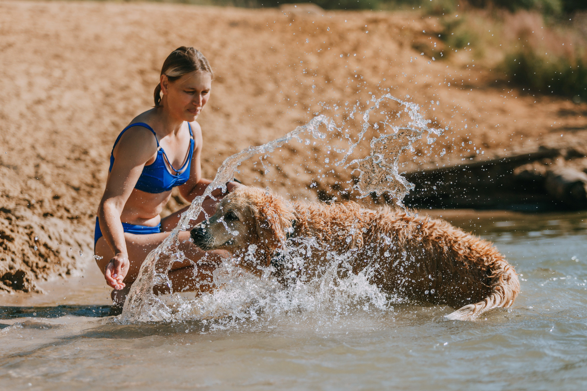 Бэлла и Альма. Фотограф-анималист Елена Радченко, Москва
