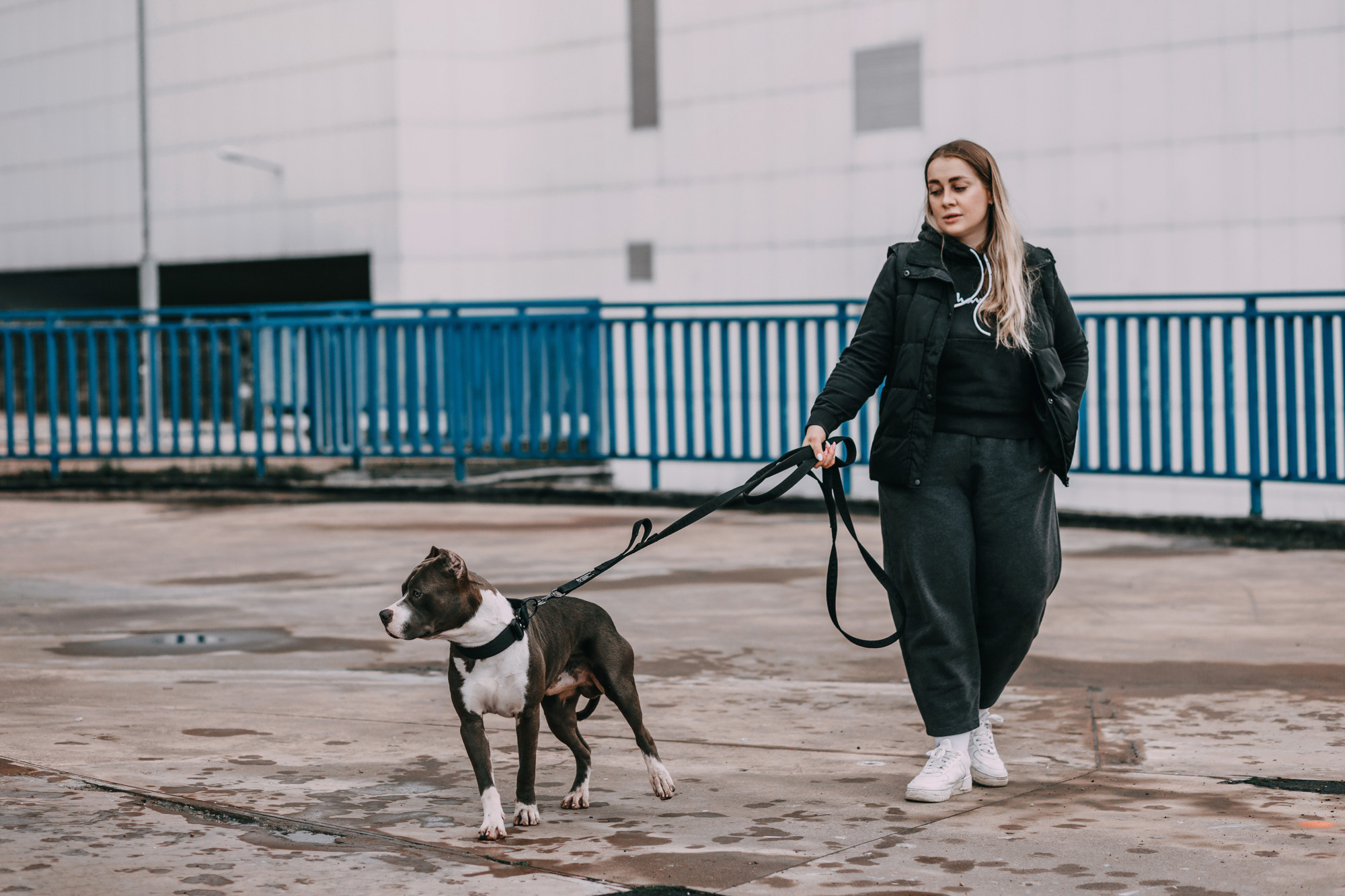 Ошейники Tame flame. Фотограф-анималист Елена Радченко, Москва