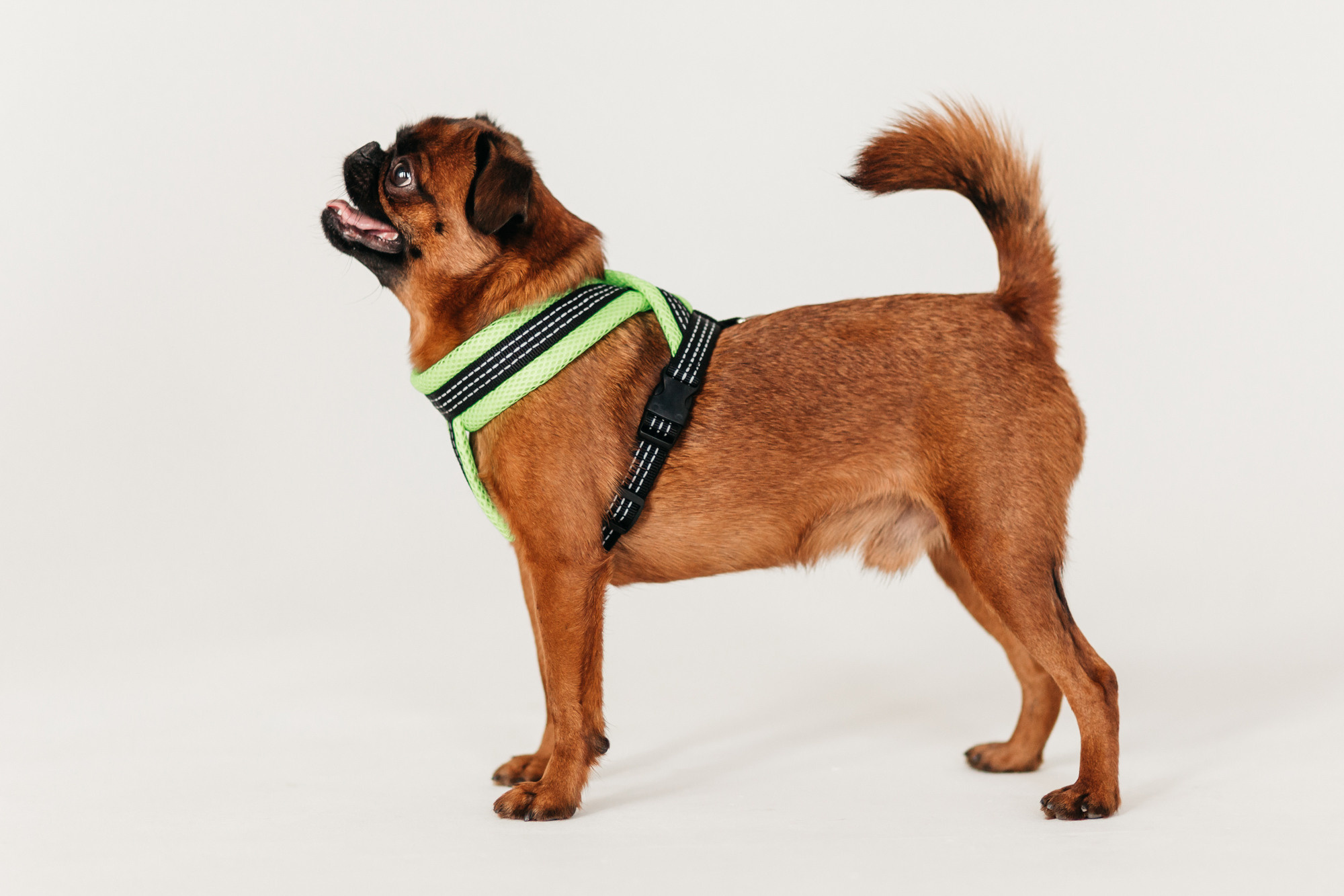 Магазин Каскад. Фотограф-анималист Елена Радченко, Москва