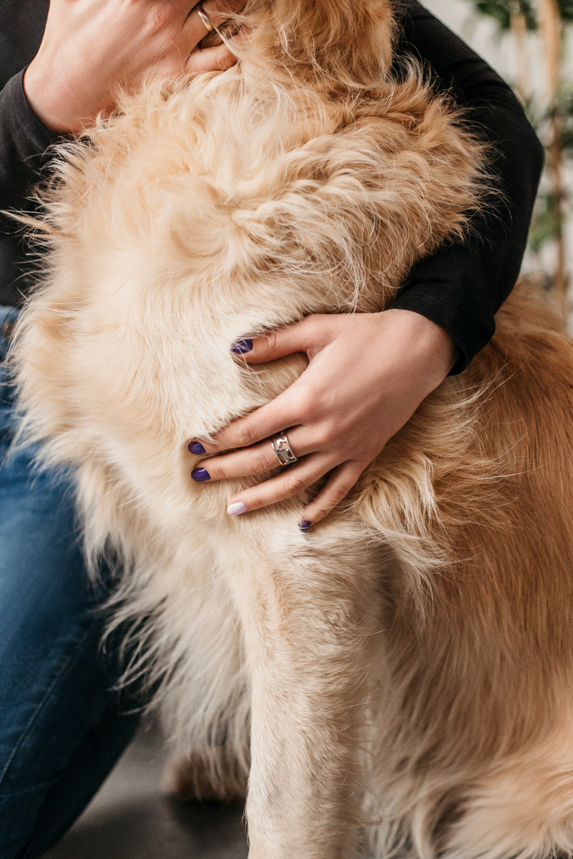 Украшения Diamond Animal. Фотограф-анималист Елена Радченко, Москва