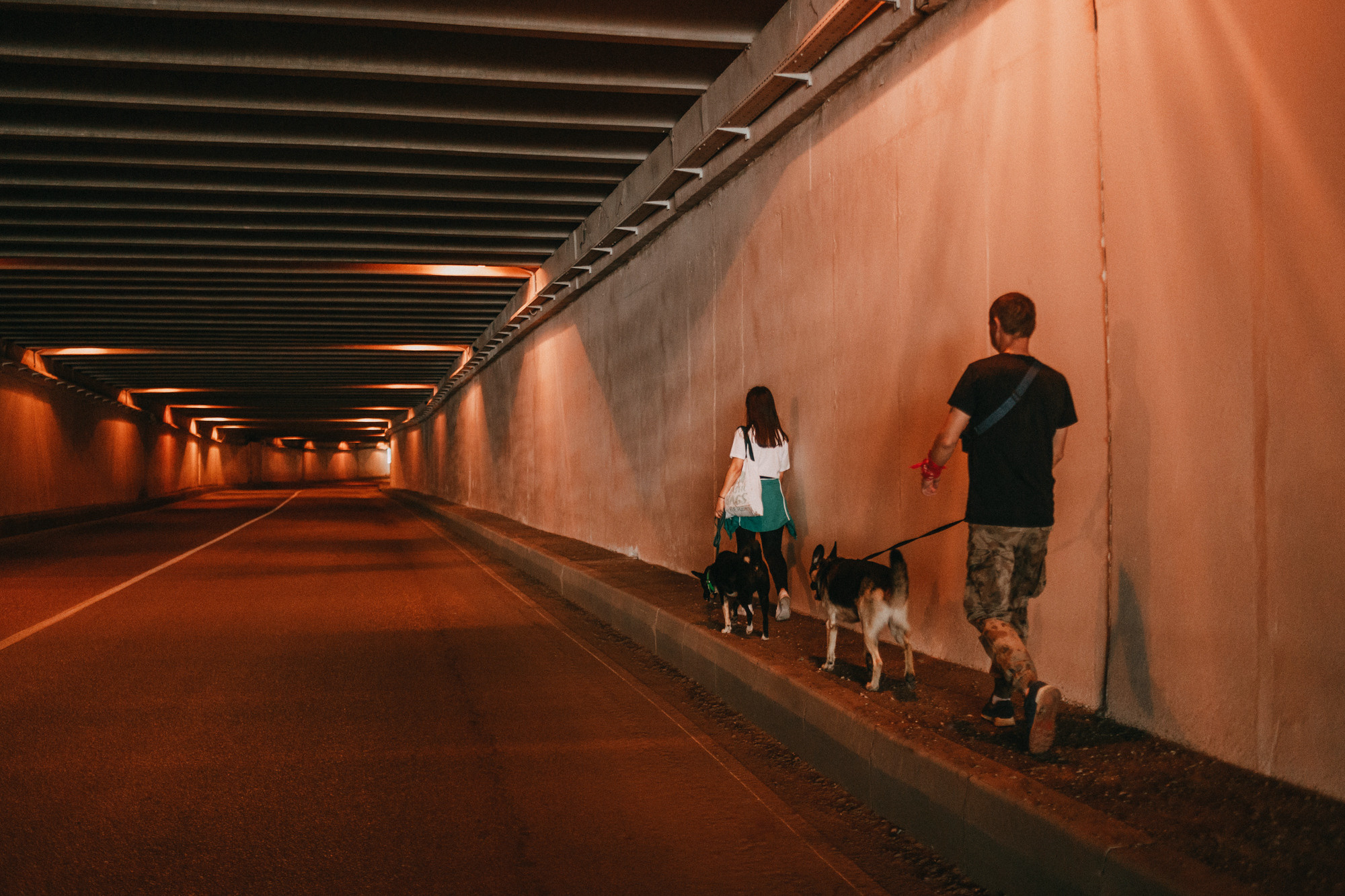Элина, Слава, Байкал и Аксель. Фотограф-анималист Елена Радченко, Москва