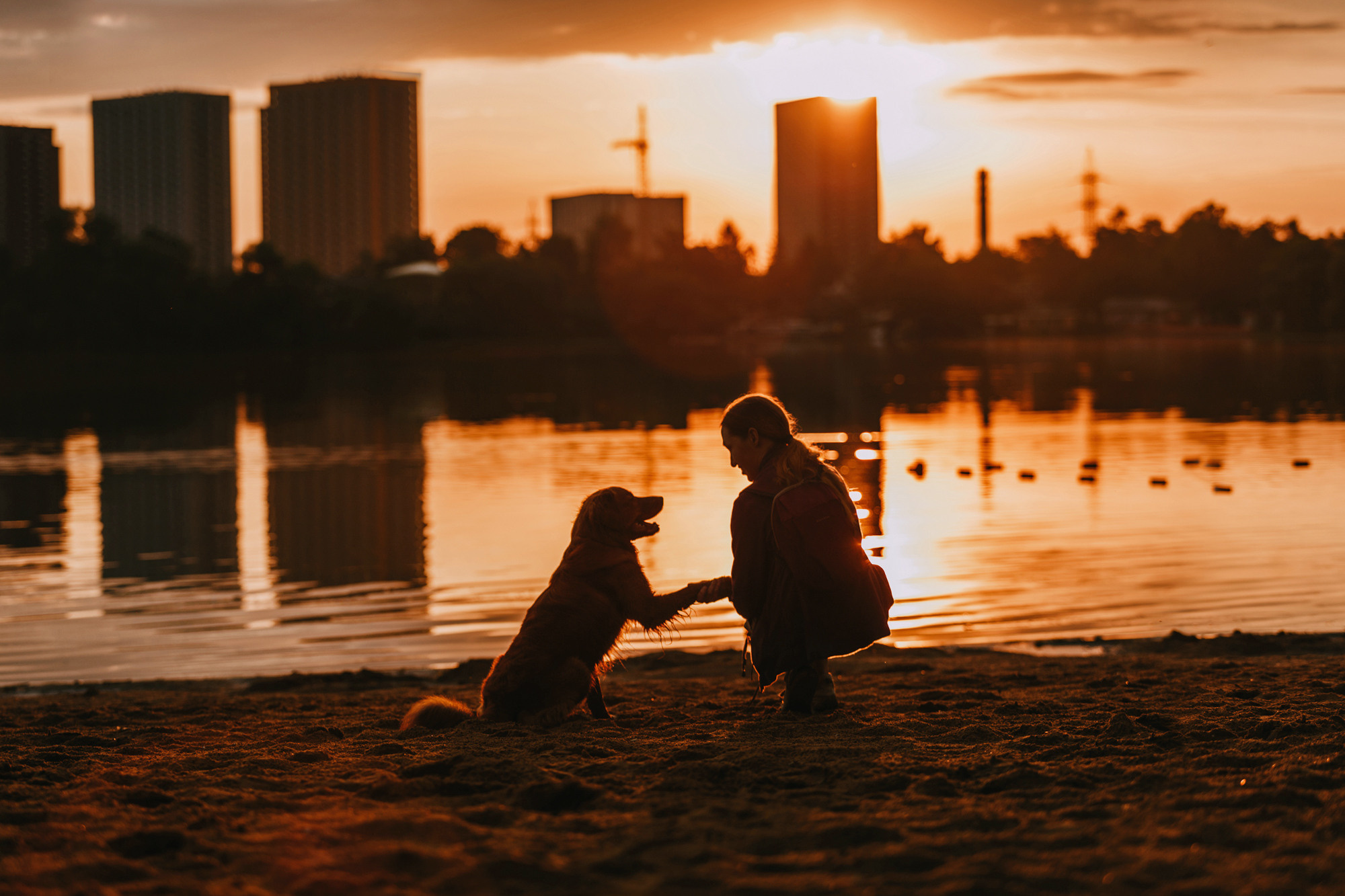Бублик. Фотограф-анималист Елена Радченко, Москва