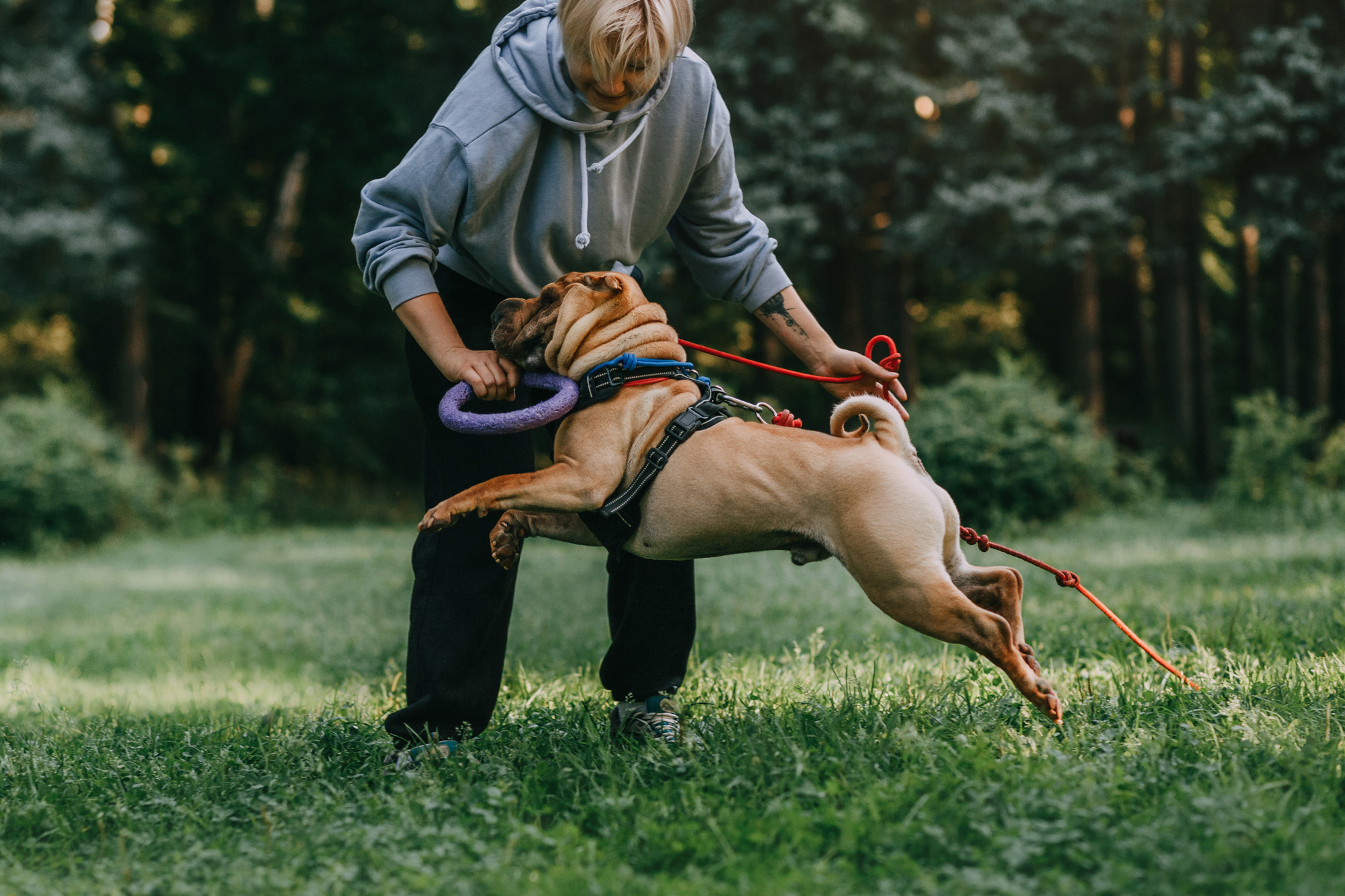 Аппа. Фотограф-анималист Елена Радченко, Москва