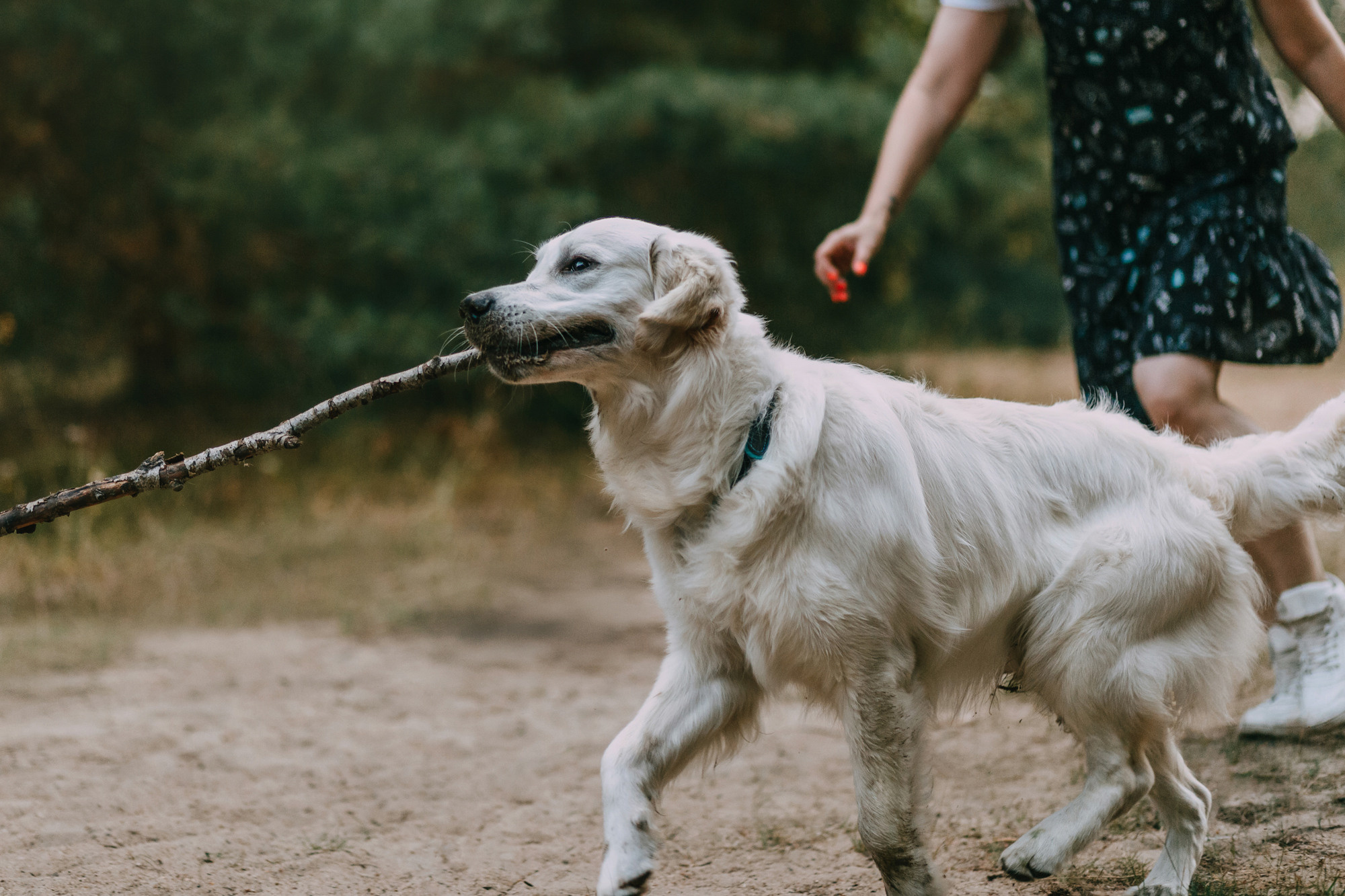 Ольга и Винни. Фотограф-анималист Елена Радченко, Москва