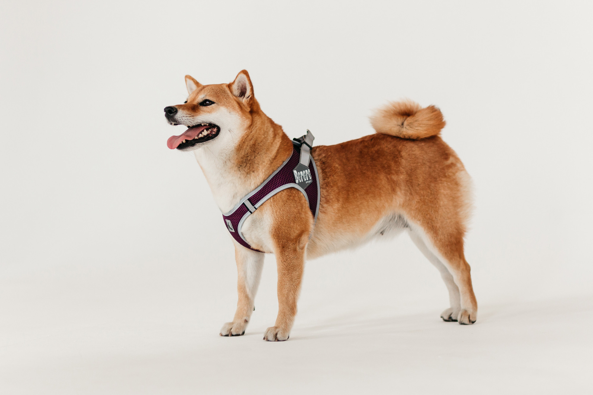 Магазин Каскад. Фотограф-анималист Елена Радченко, Москва