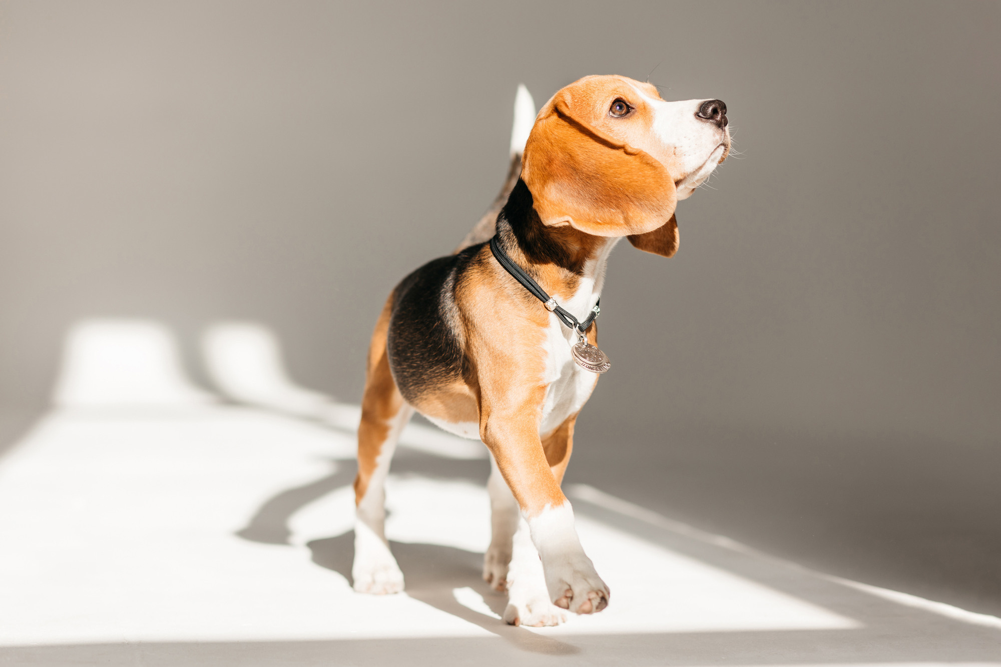 Наталия и Булочка. Фотограф-анималист Елена Радченко, Москва