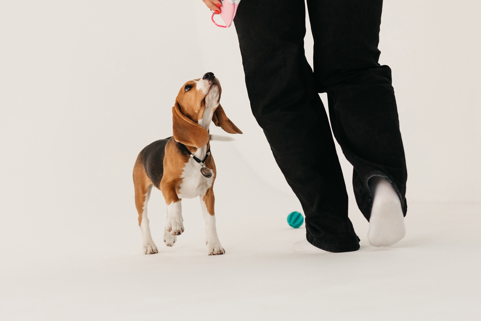 Наталия и Булочка. Фотограф-анималист Елена Радченко, Москва