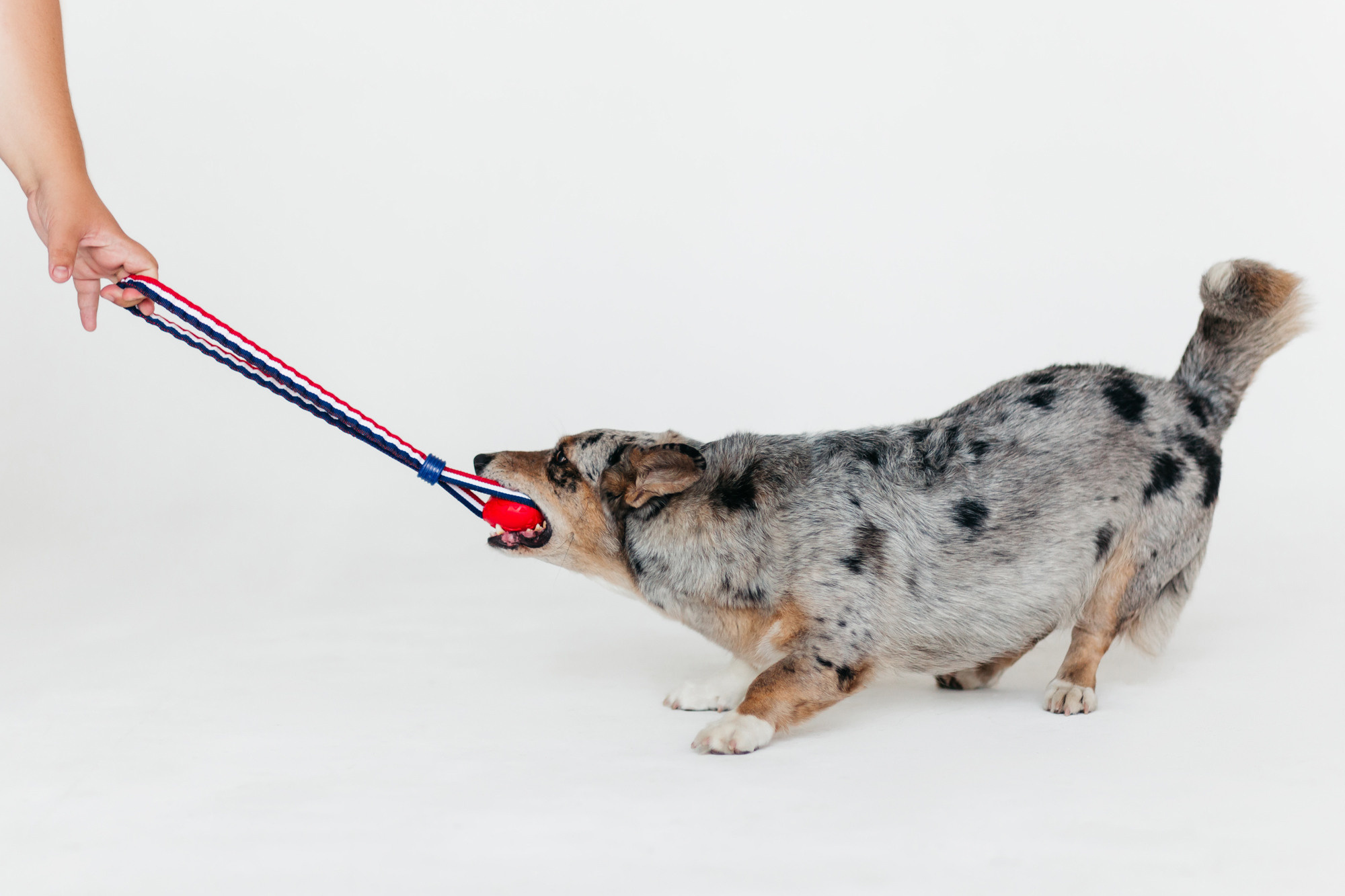 Магазин Каскад. Фотограф-анималист Елена Радченко, Москва