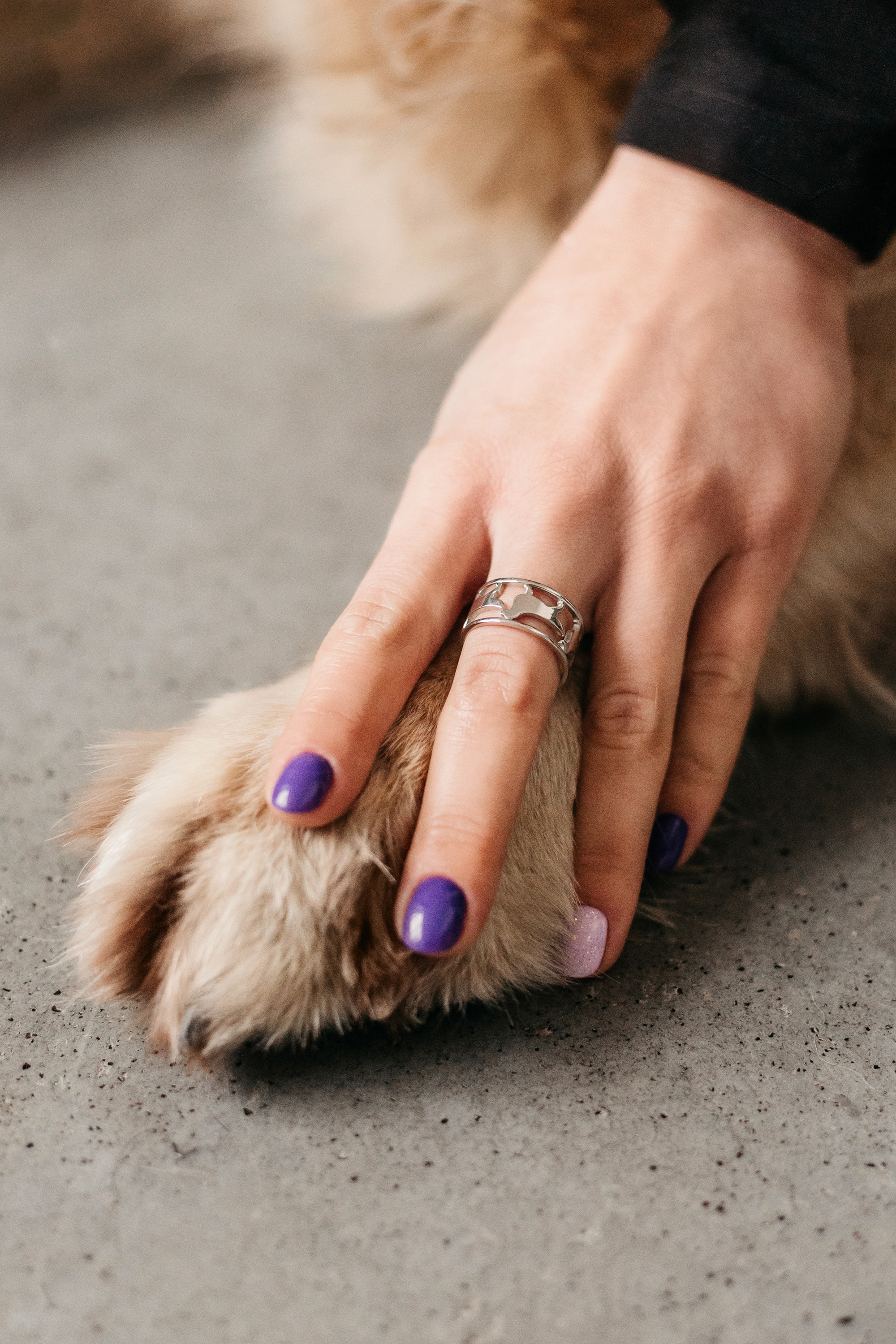 Украшения Diamond Animal. Фотограф-анималист Елена Радченко, Москва