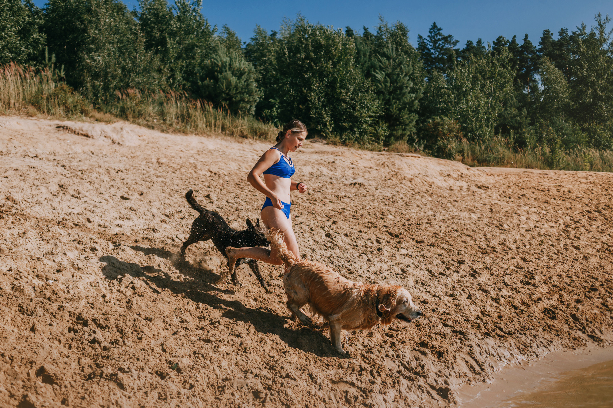 Бэлла и Альма. Фотограф-анималист Елена Радченко, Москва