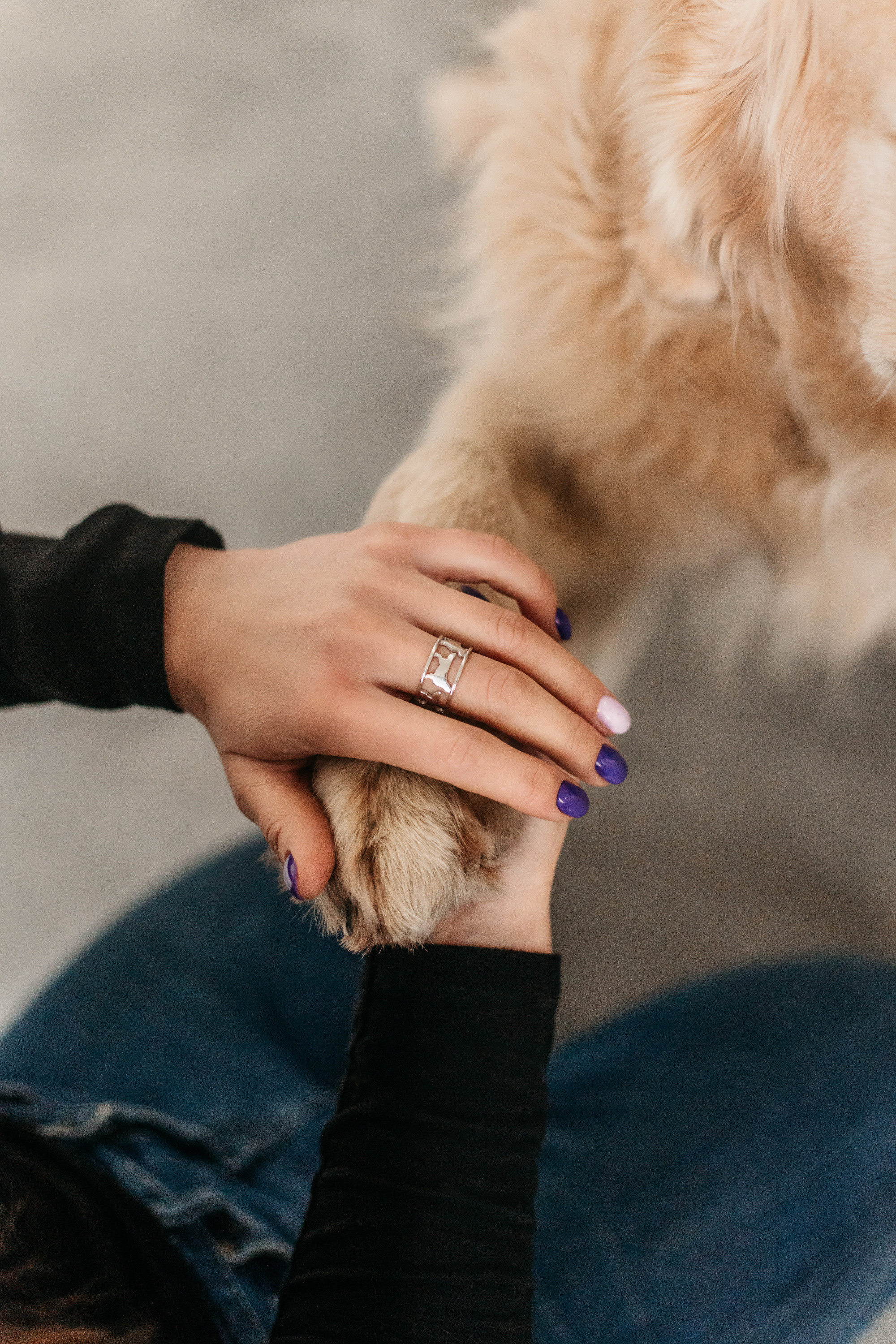 Украшения Diamond Animal. Фотограф-анималист Елена Радченко, Москва